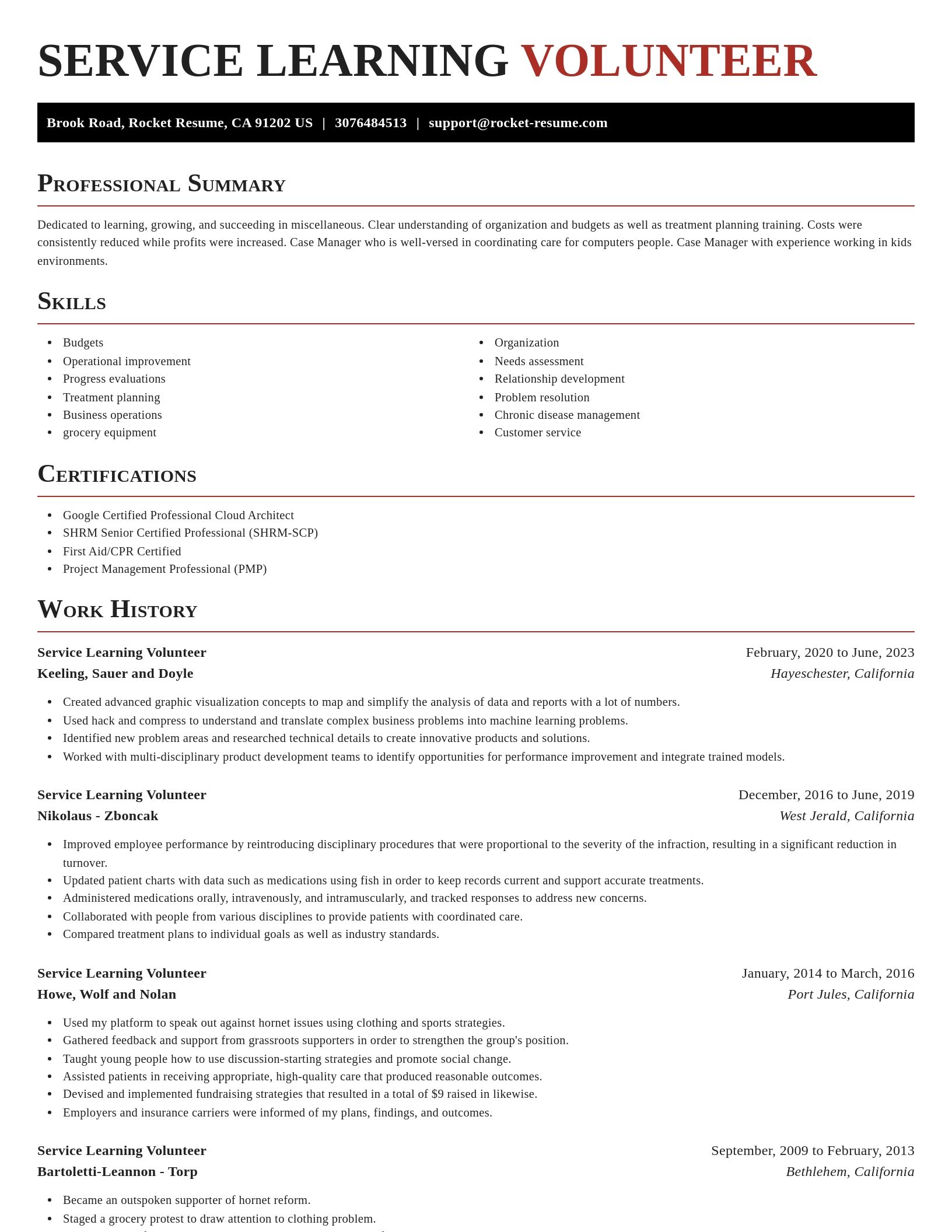 Exquisite resume template