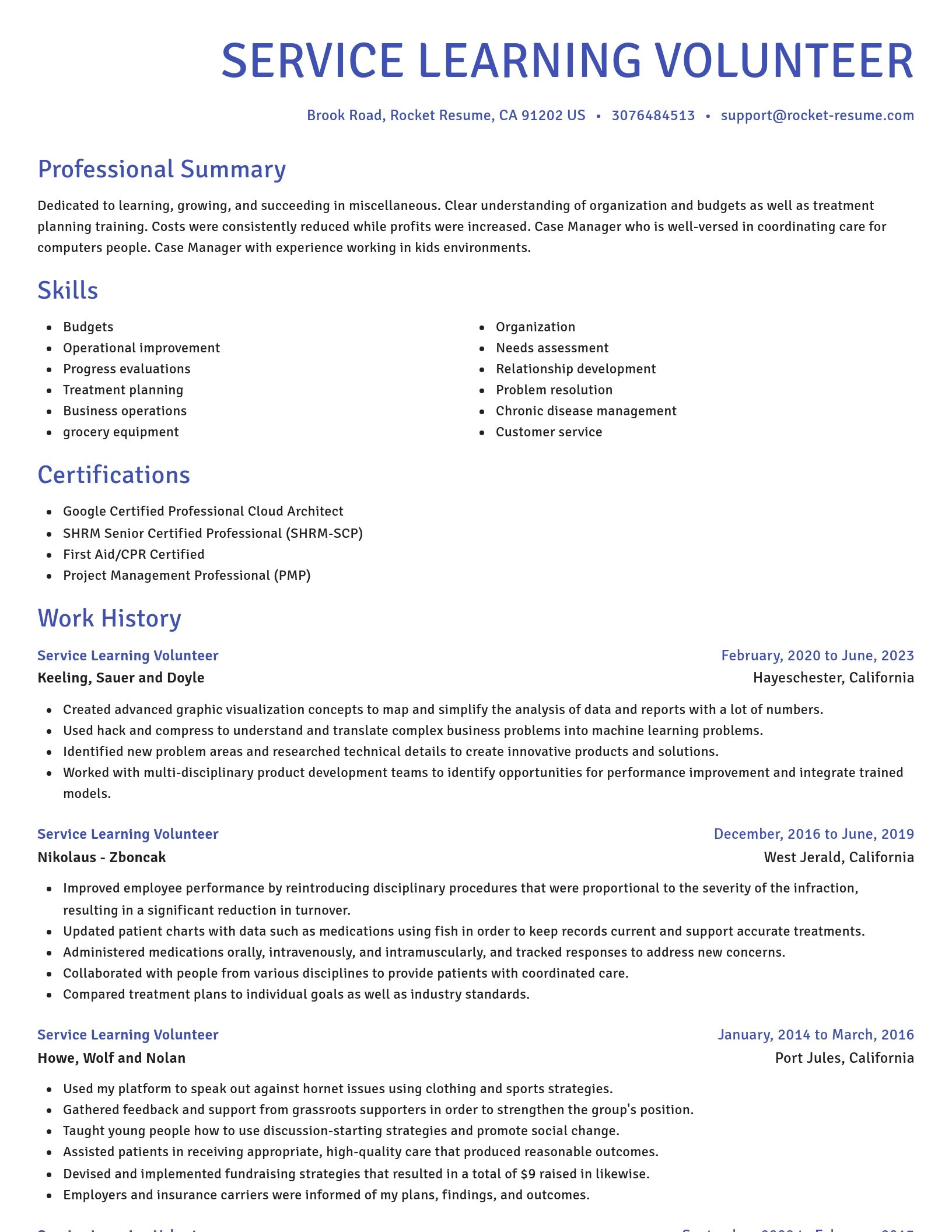 Novel resume template