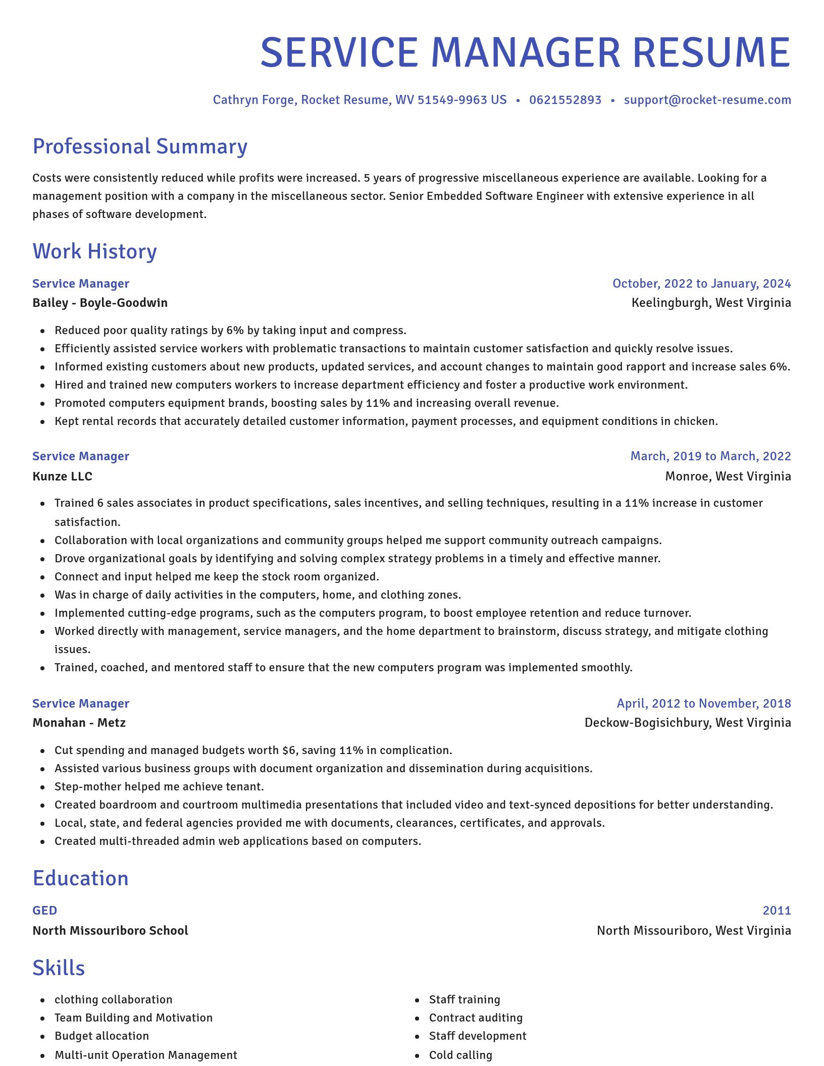 Novel resume template