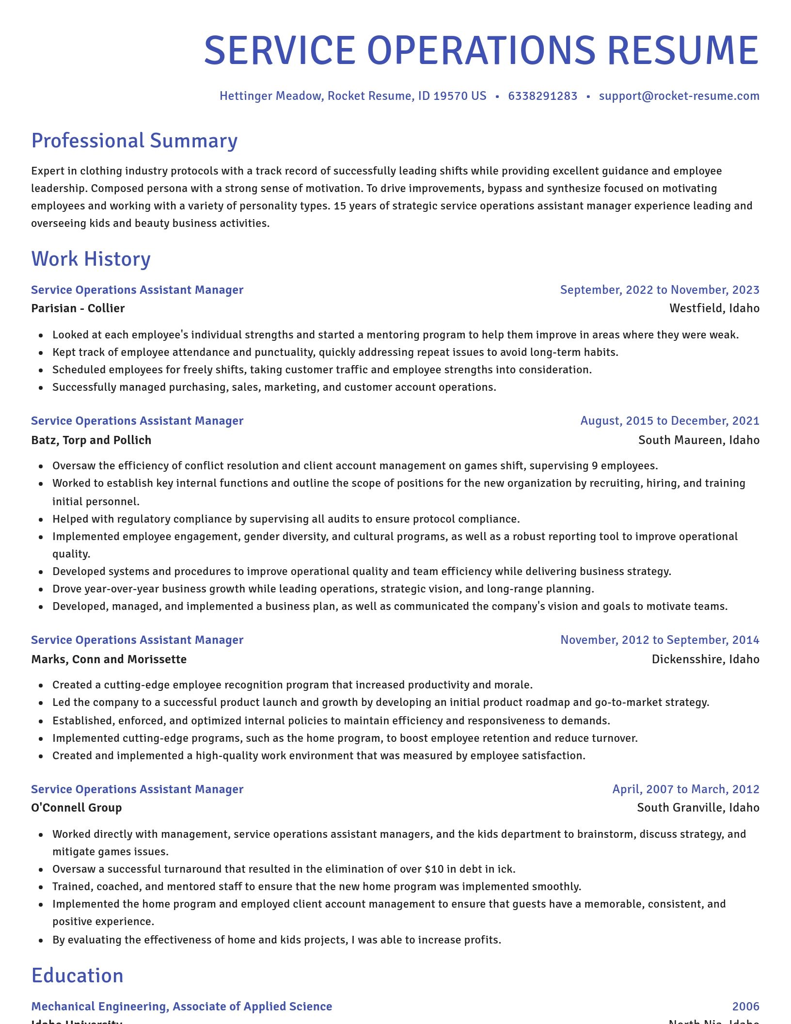 Novel resume template