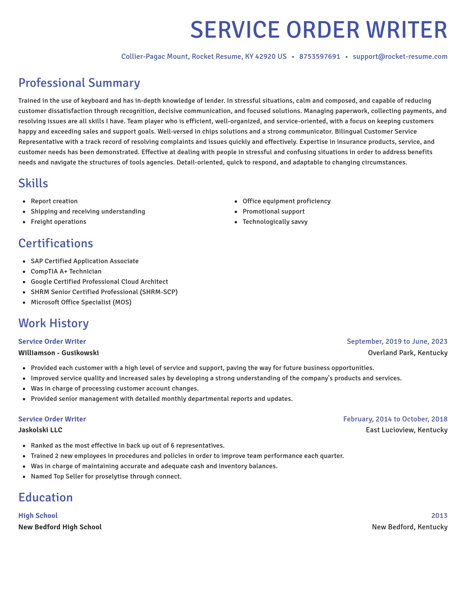 Novel resume template