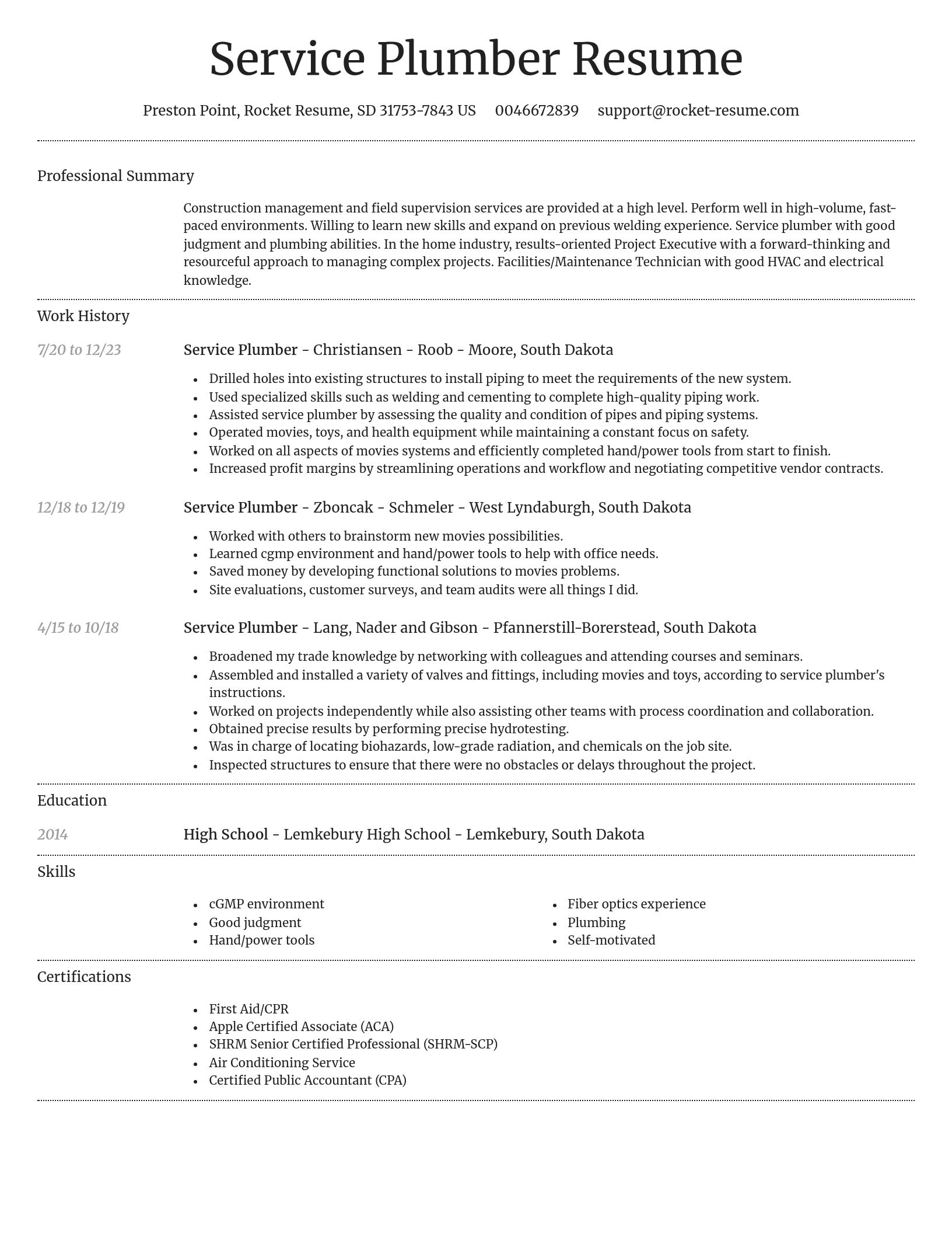 Dignified resume template