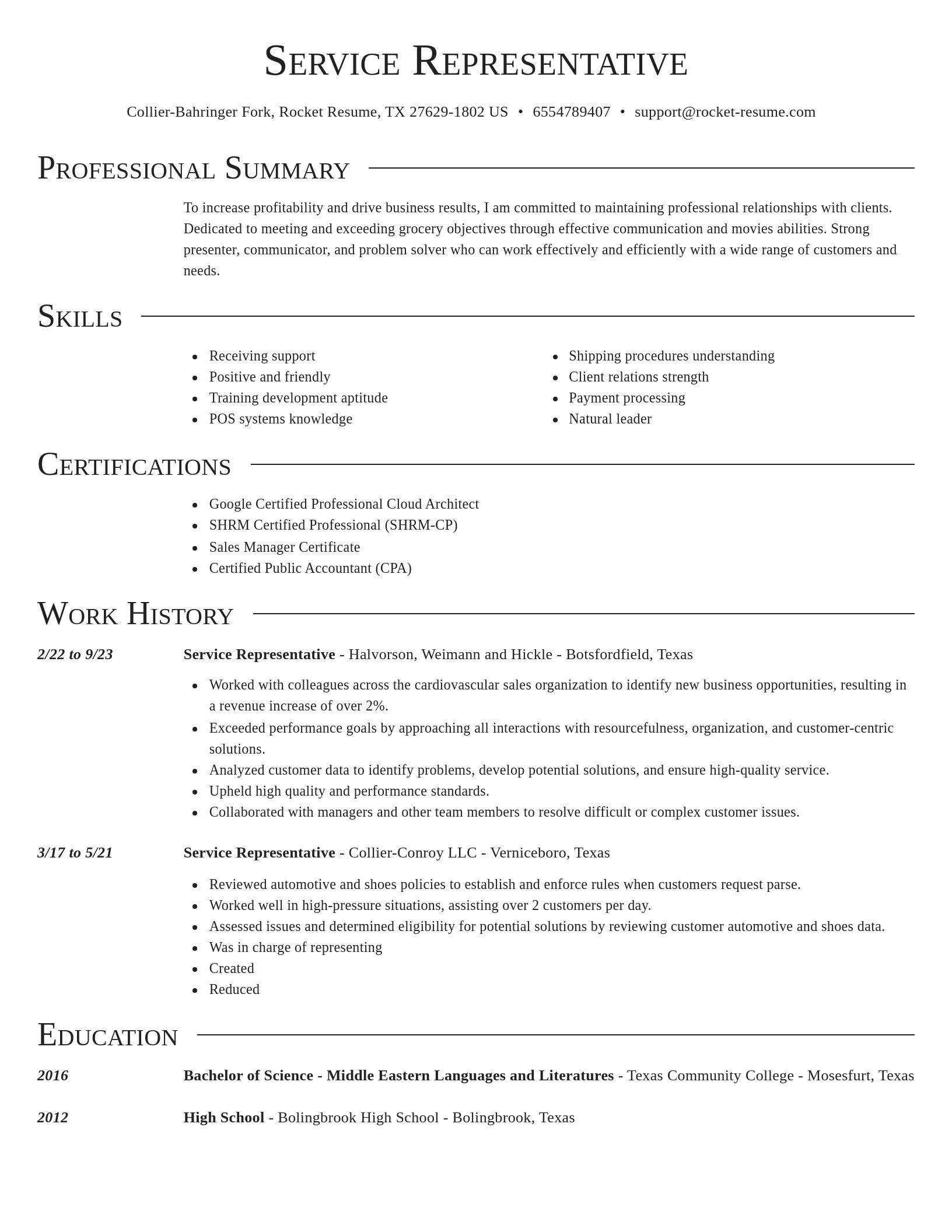 Director resume template