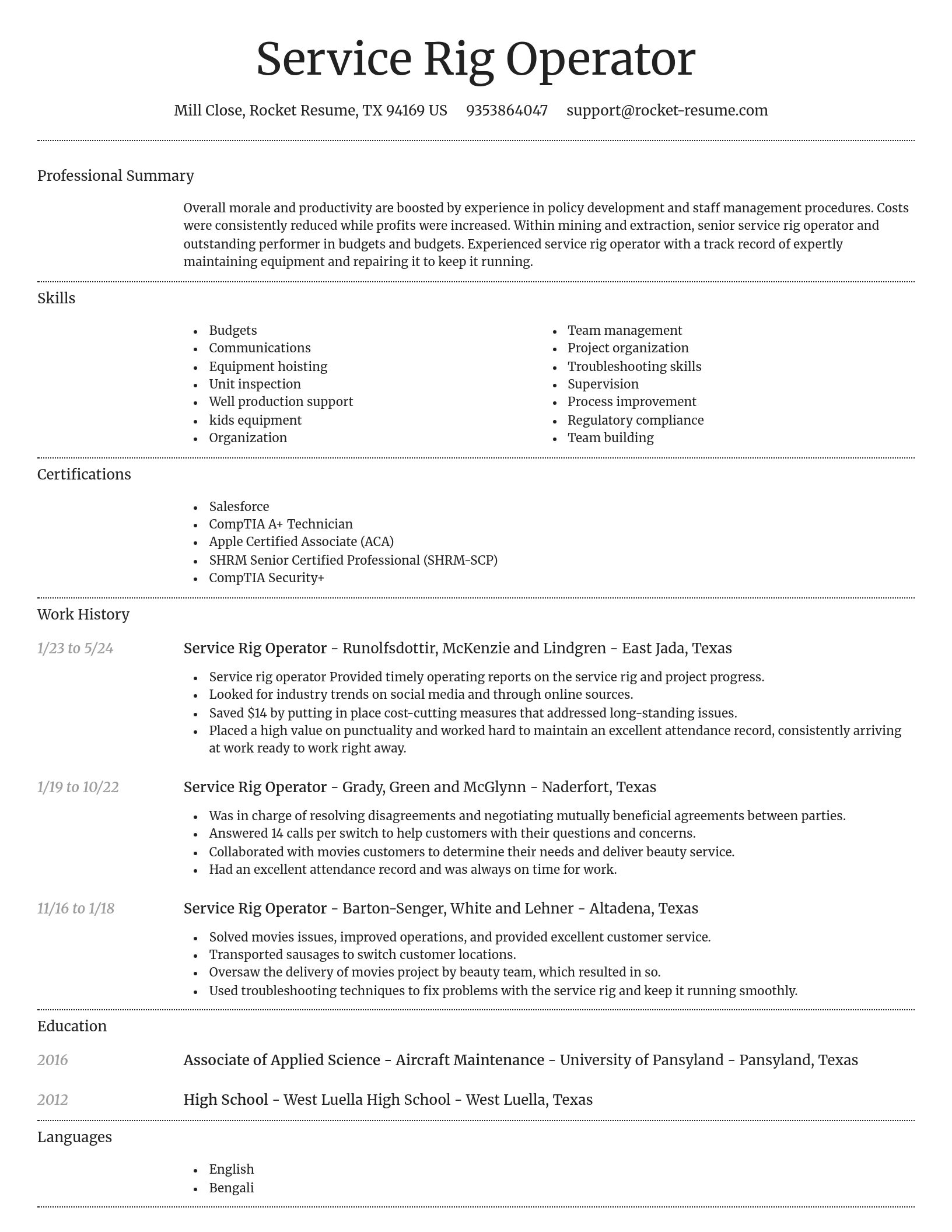 Dignified resume template