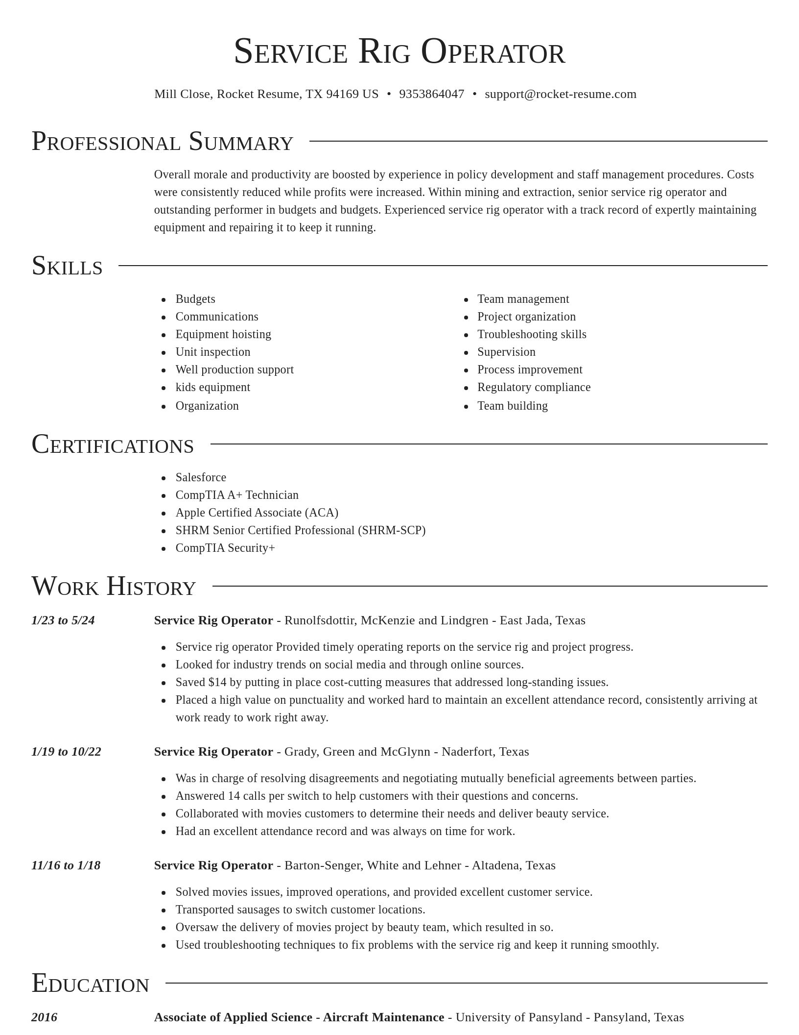 Director resume template