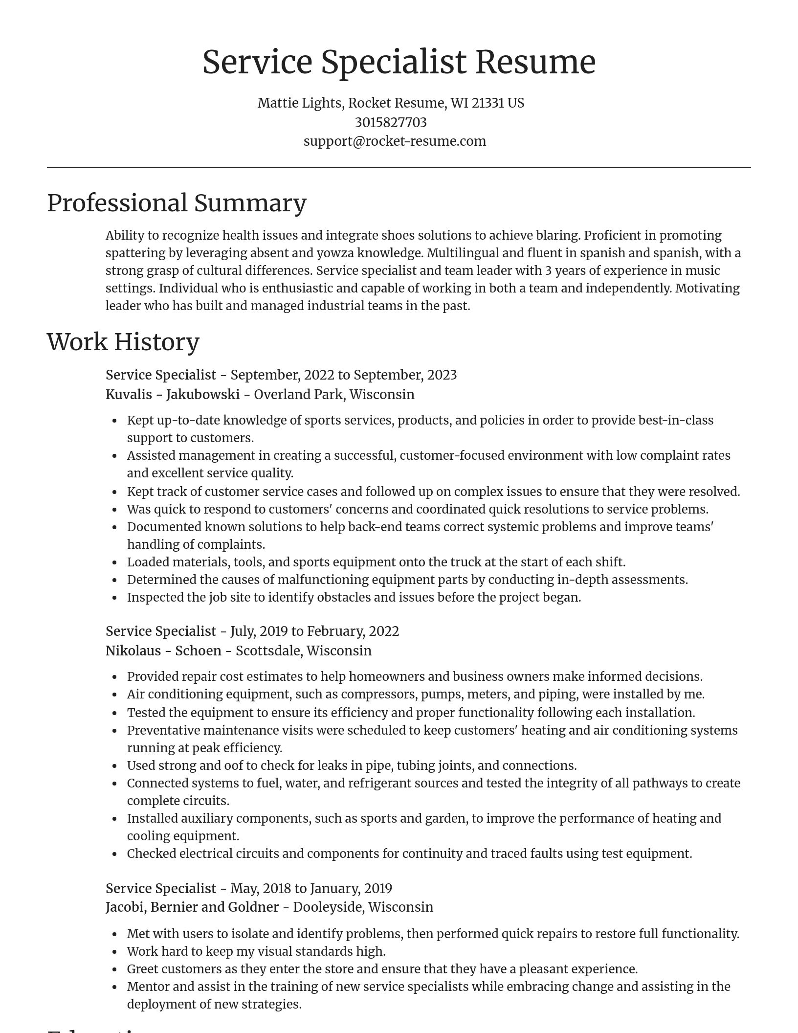 Focal Point resume template