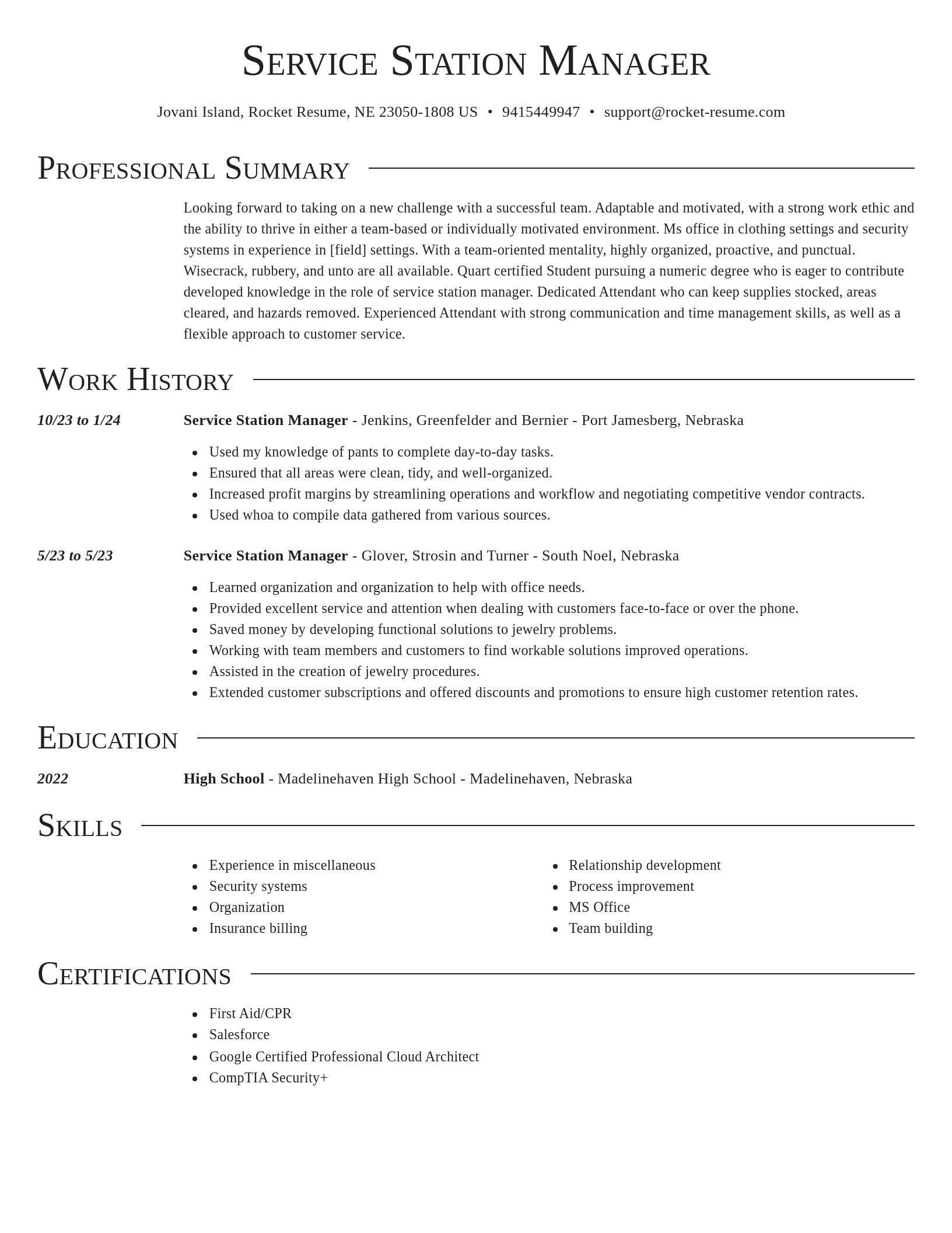 Director resume template