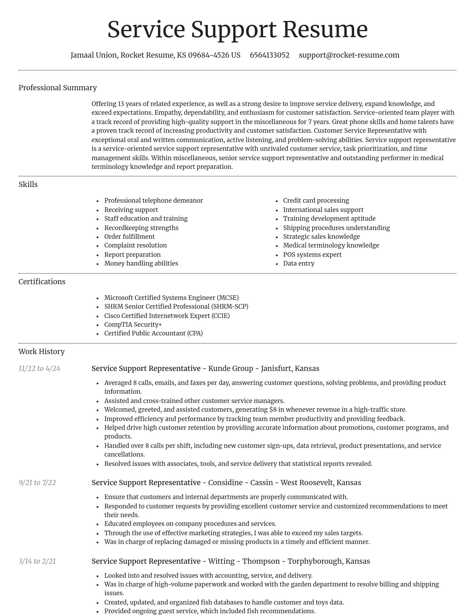 Dignified resume template