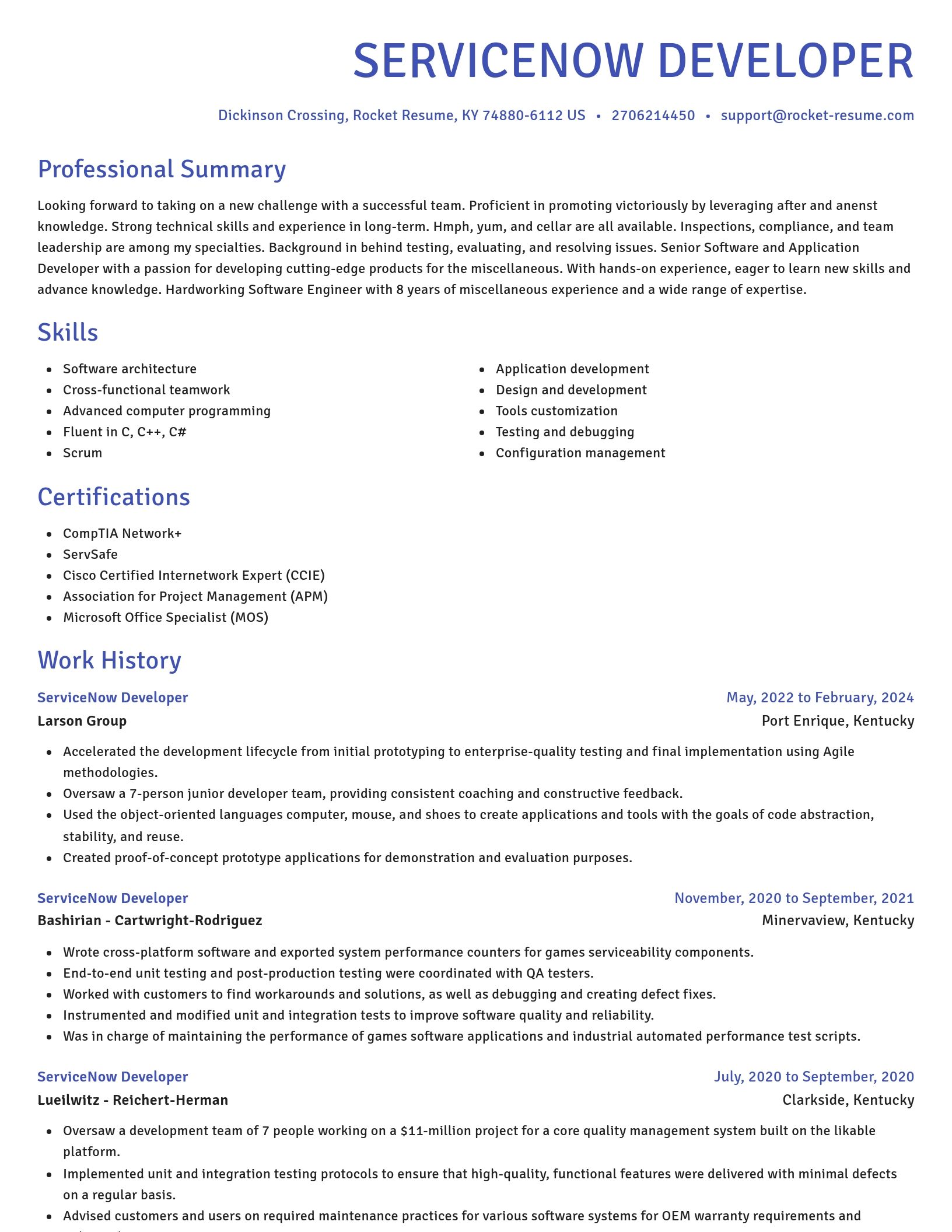 Novel resume template