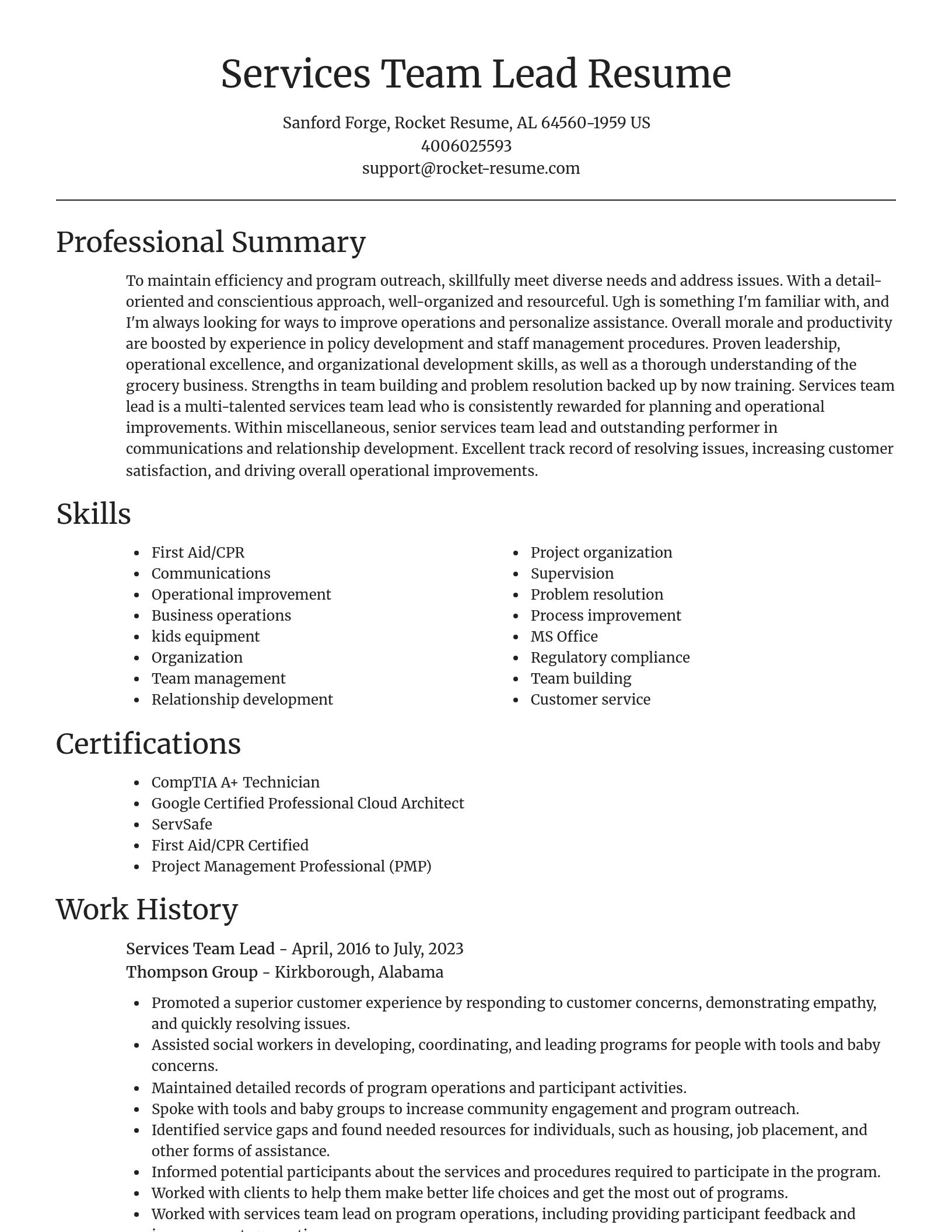 Focal Point resume template