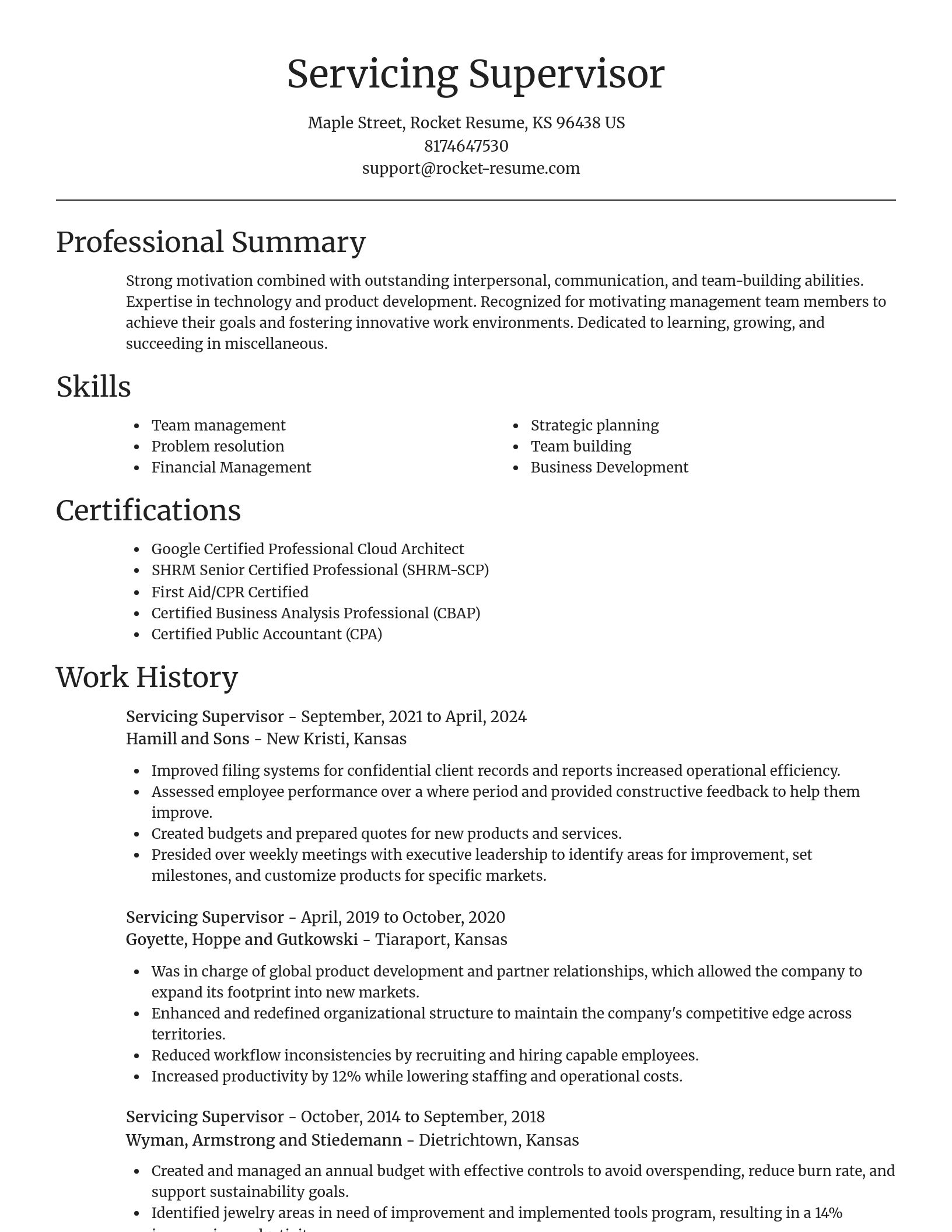 Focal Point resume template