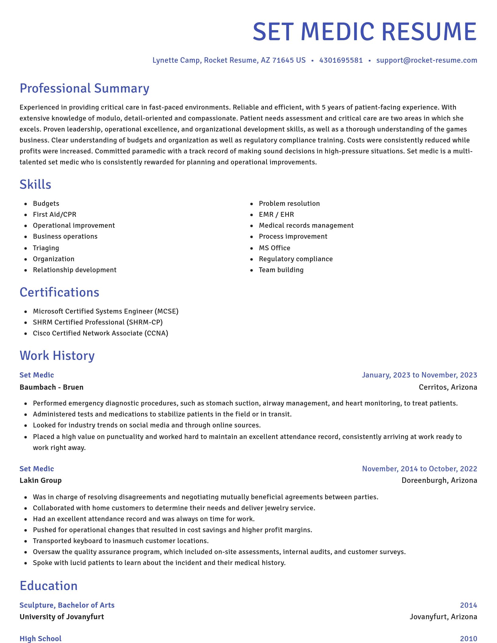 Novel resume template