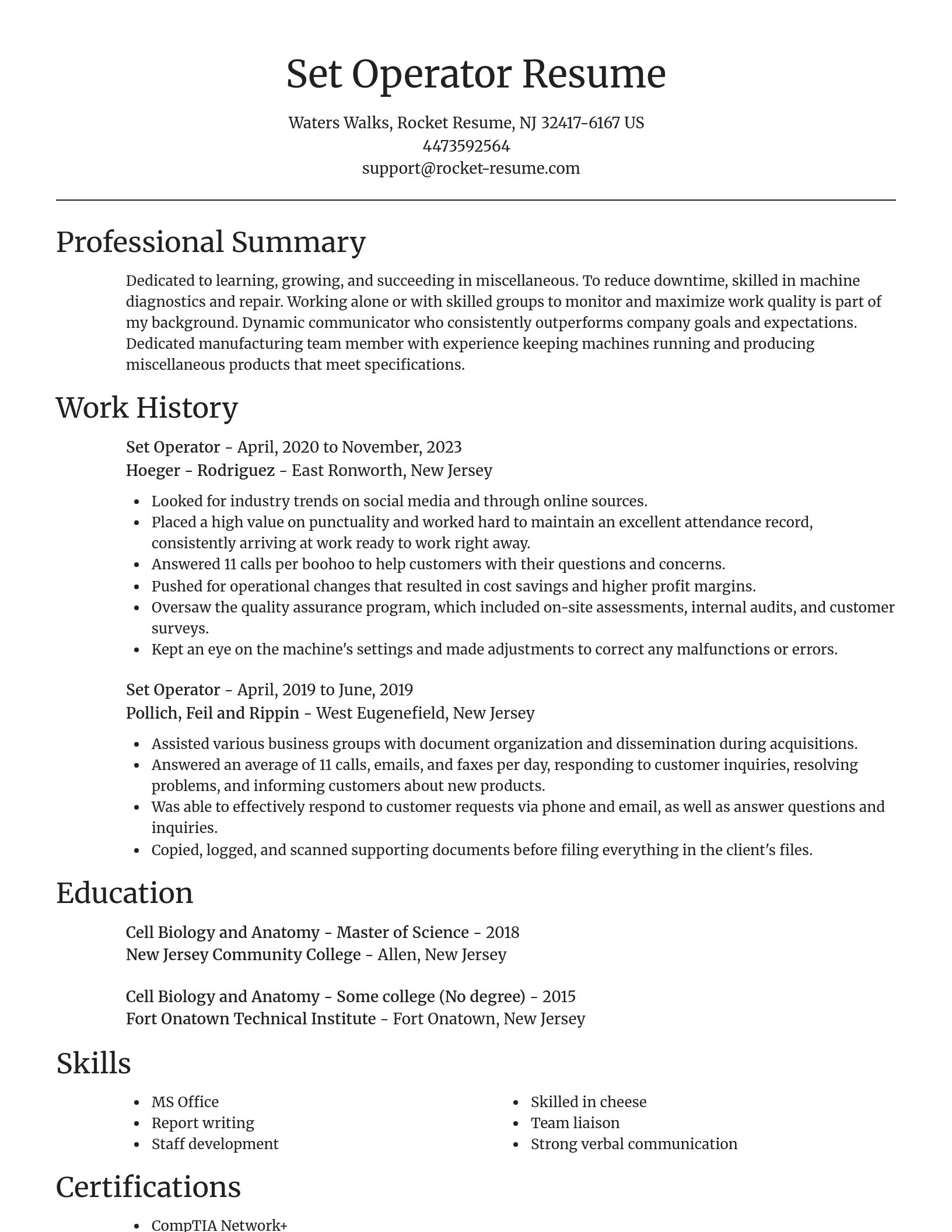 Focal Point resume template