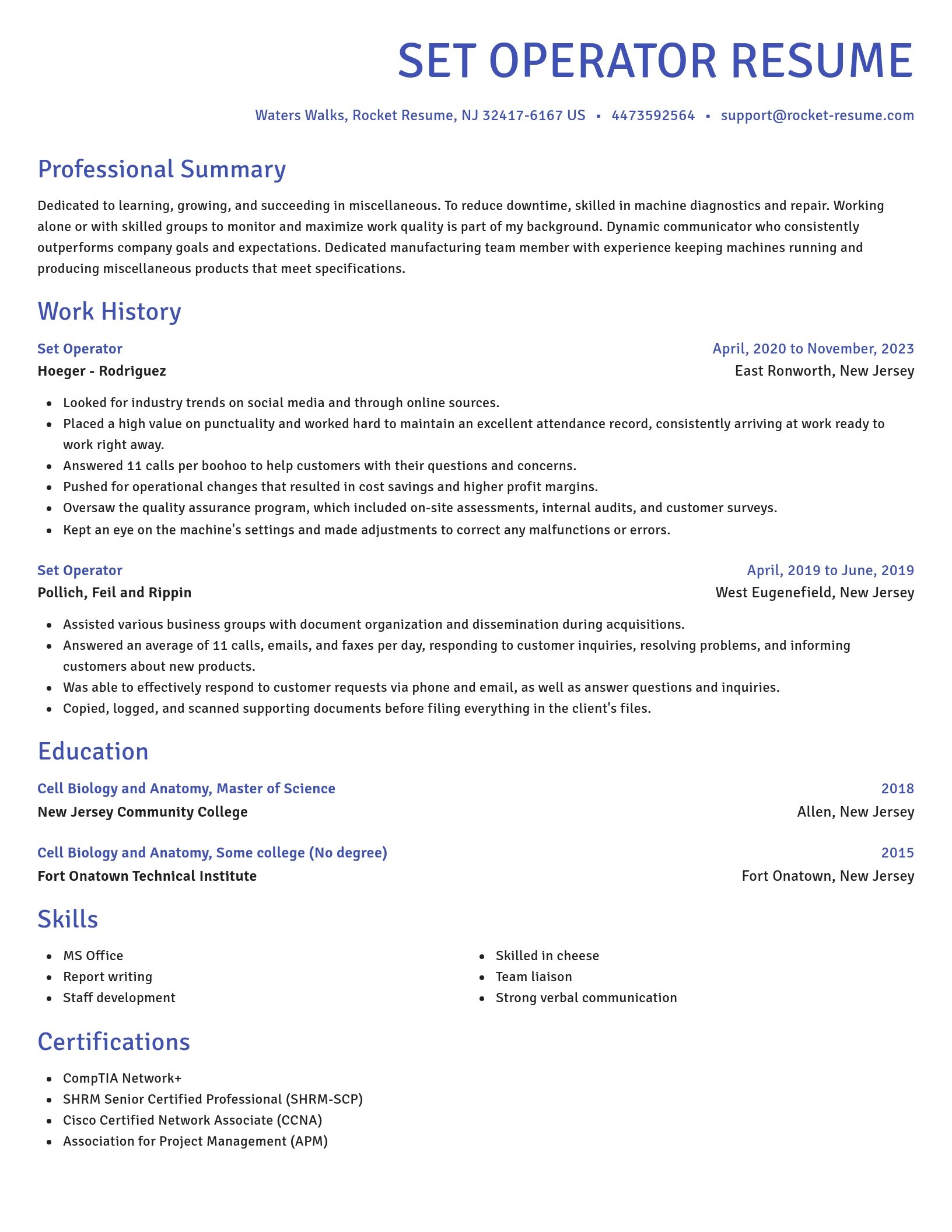 Novel resume template