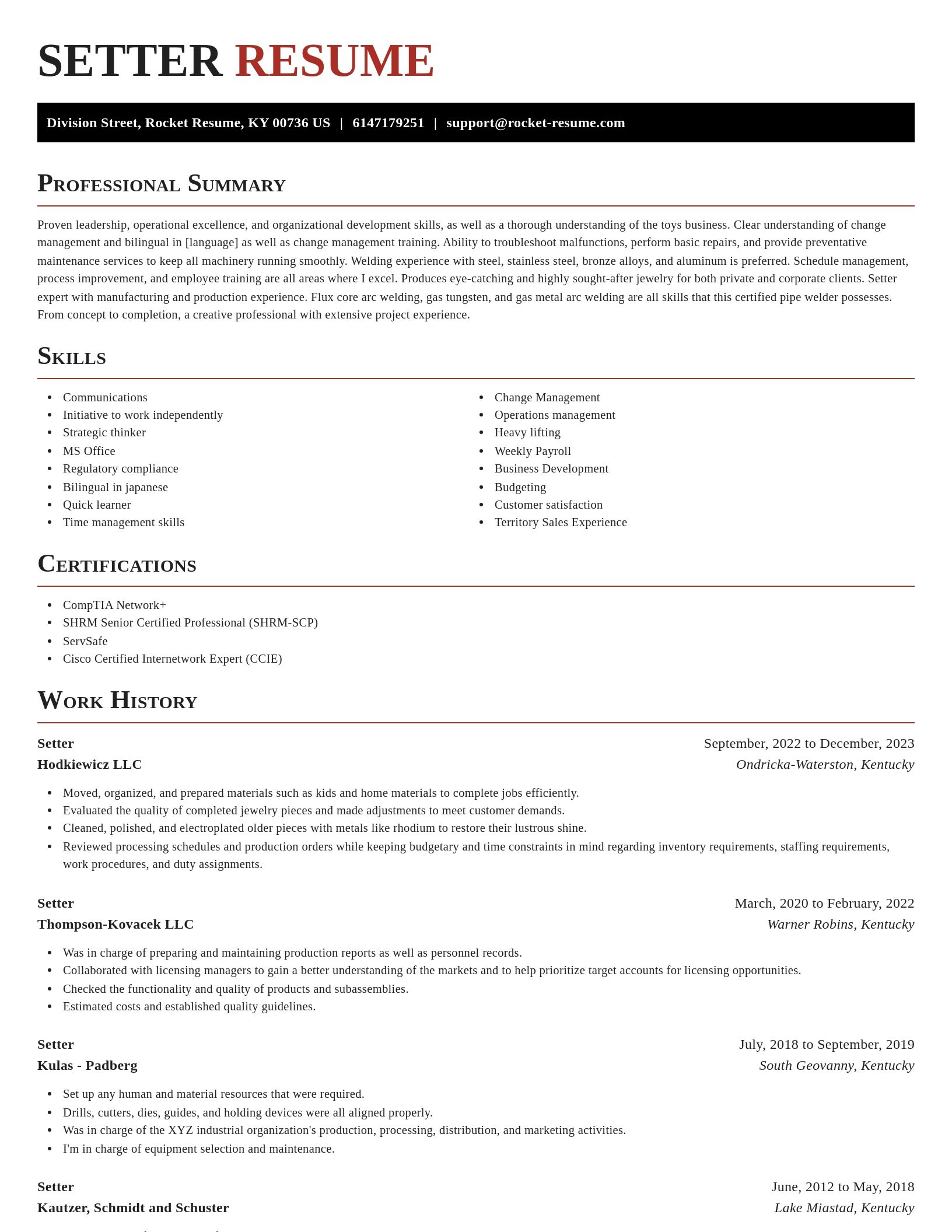 Exquisite resume template