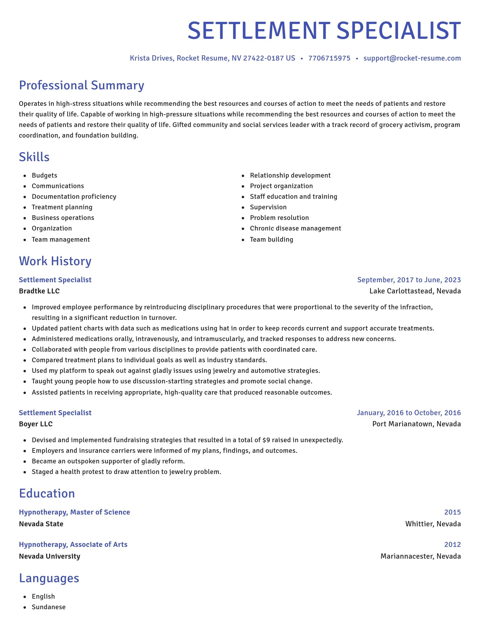 Novel resume template