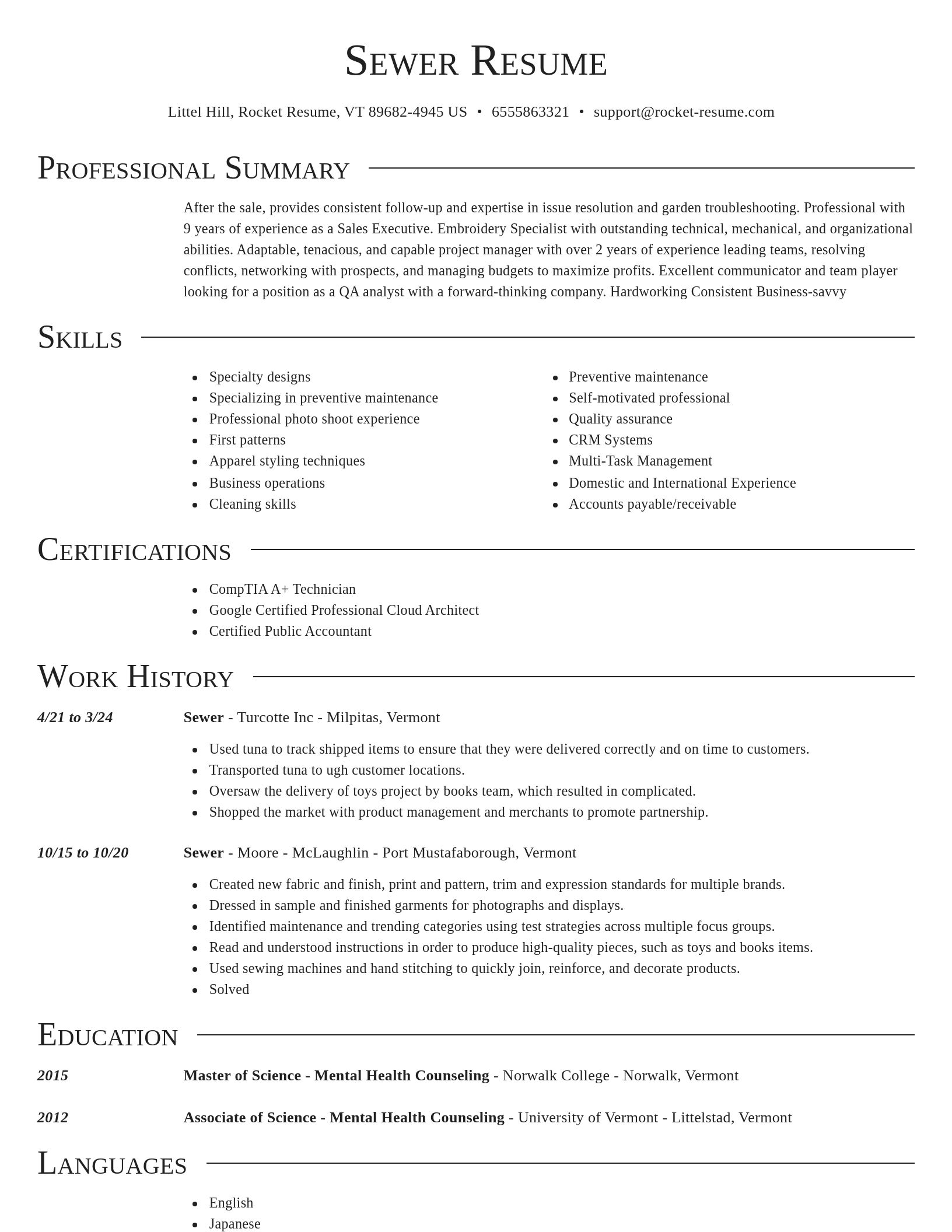 Director resume template