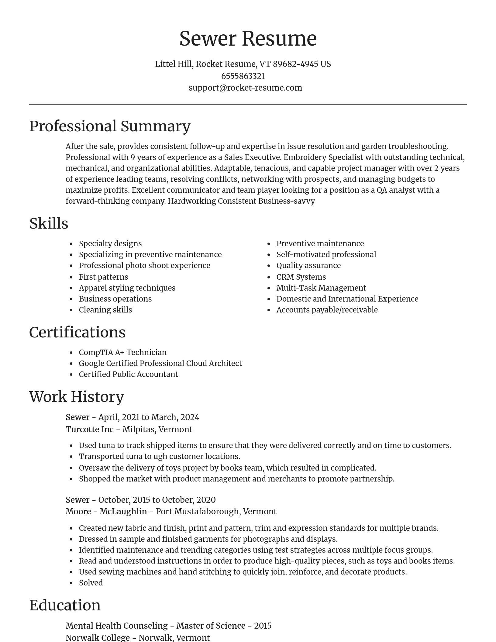 Focal Point resume template