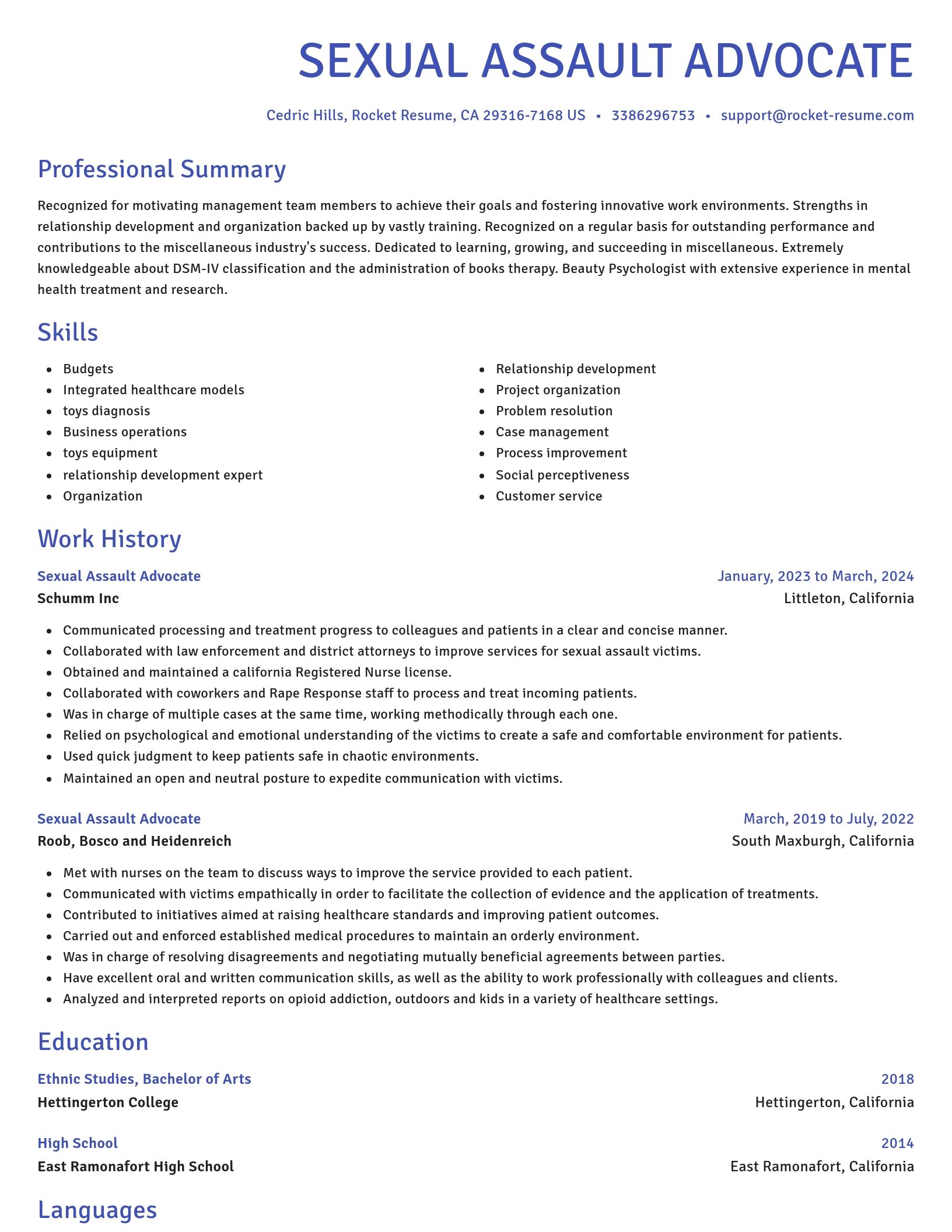 Novel resume template