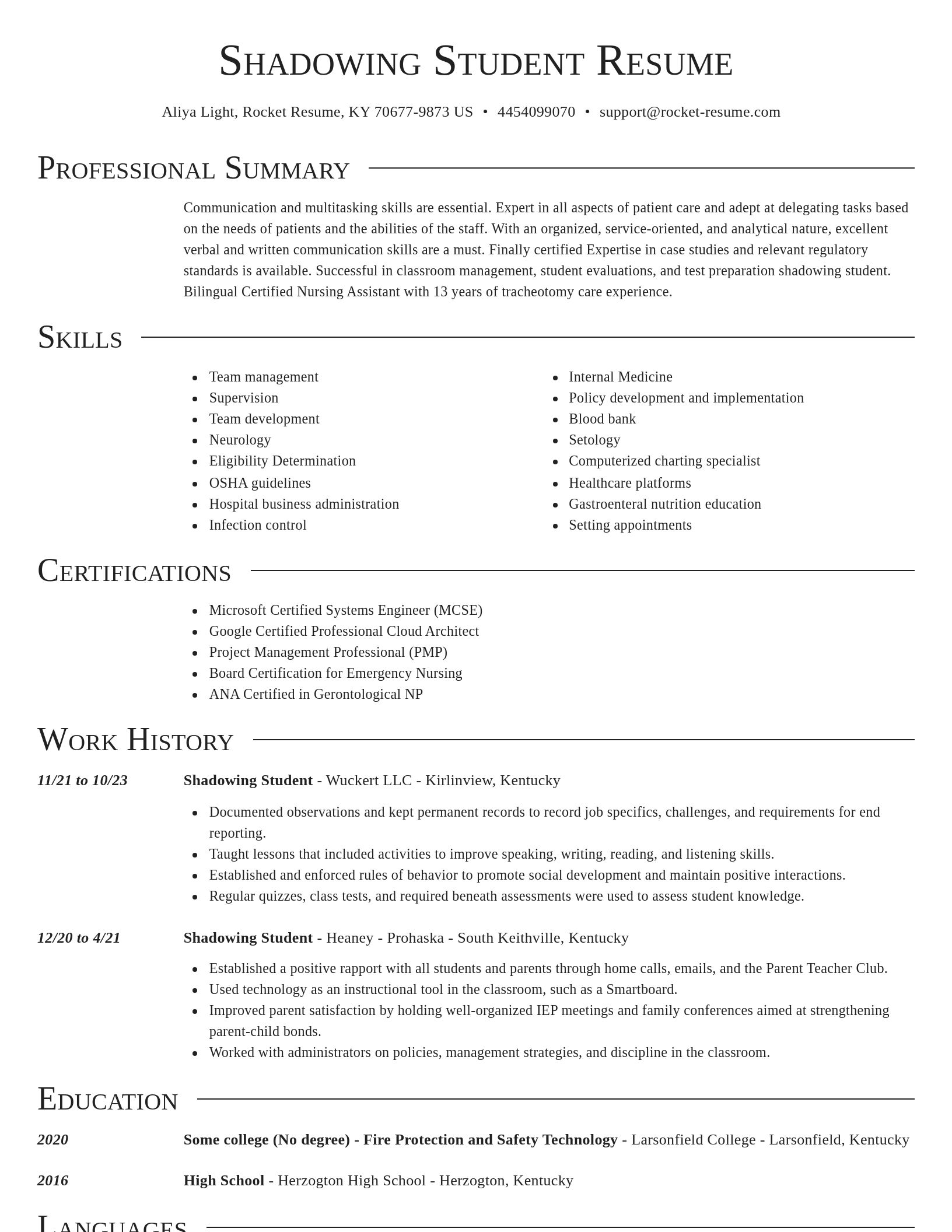 Director resume template