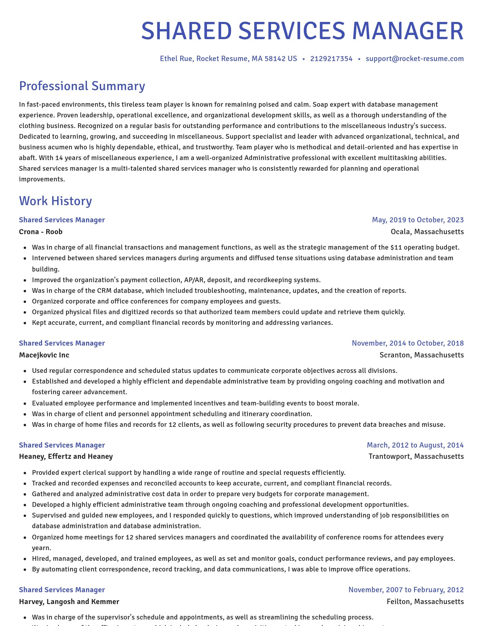 Novel resume template