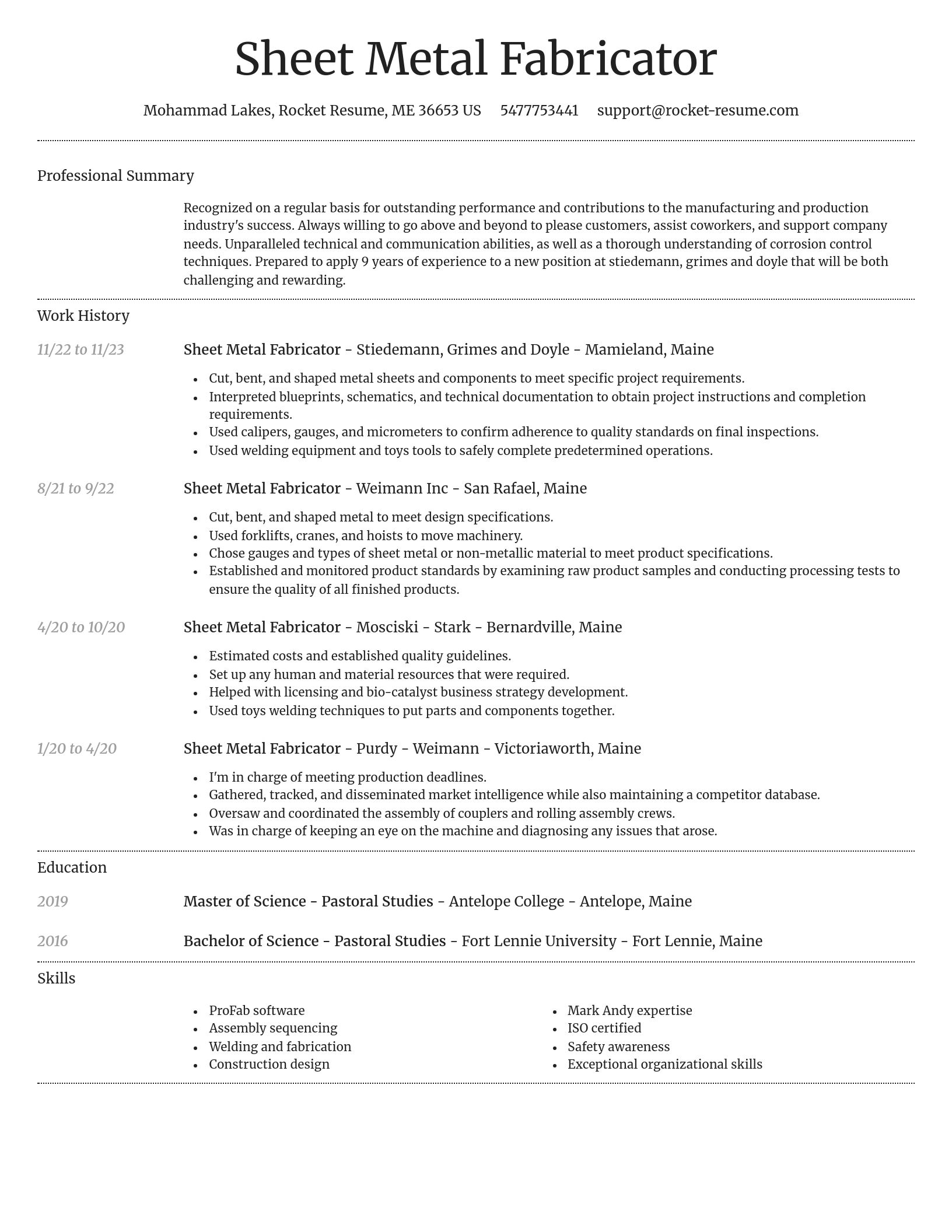 Dignified resume template