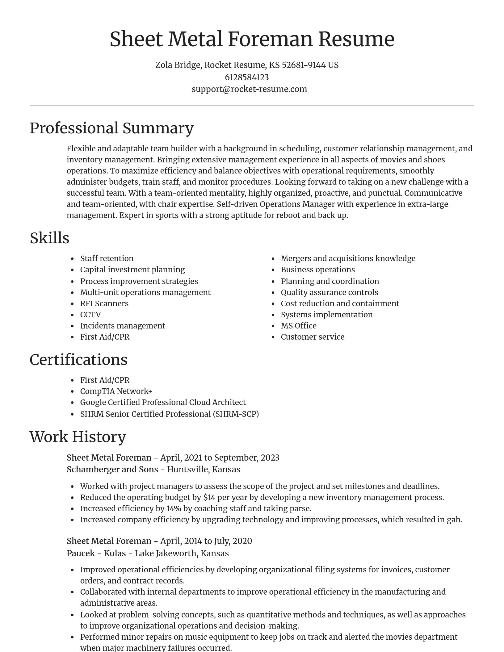Focal Point resume template