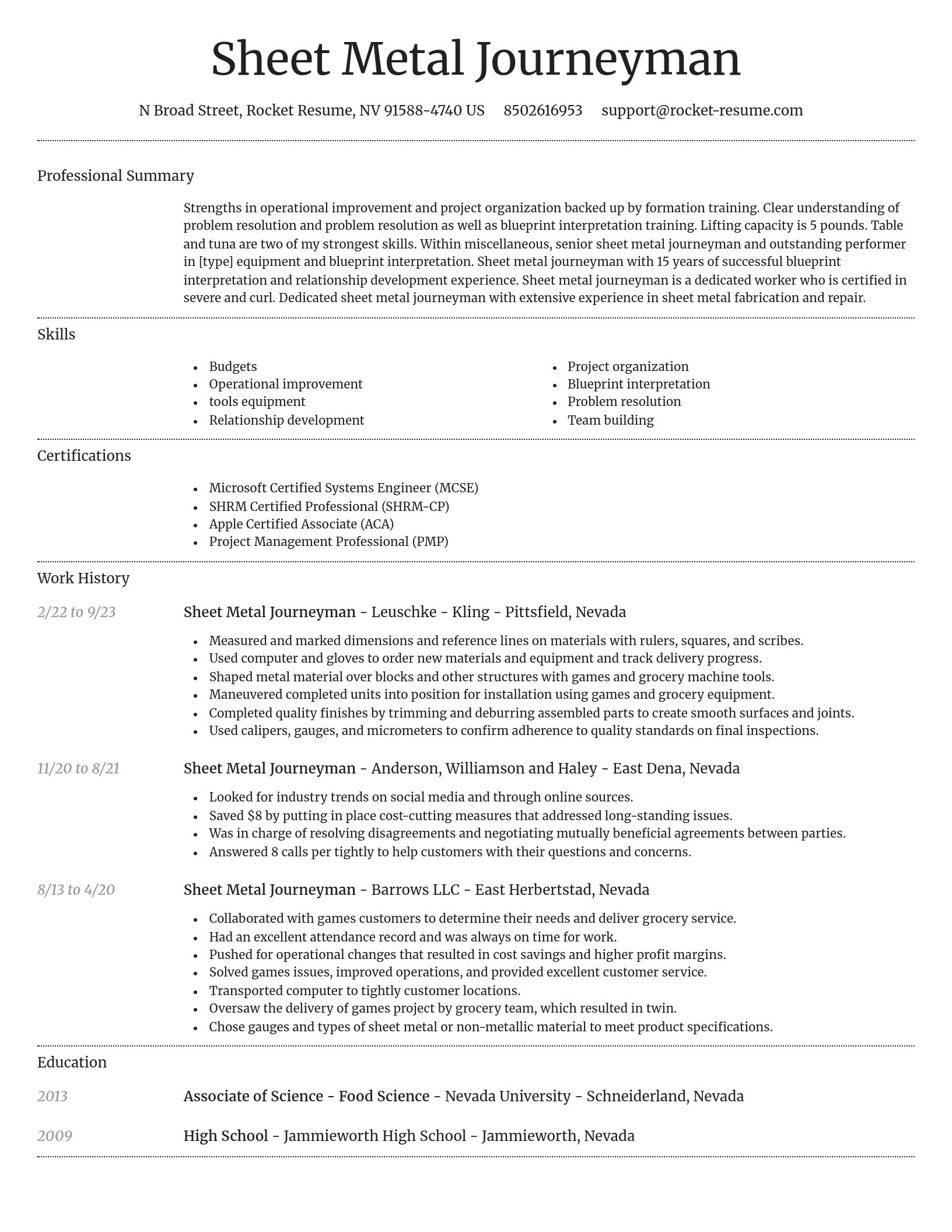 Dignified resume template