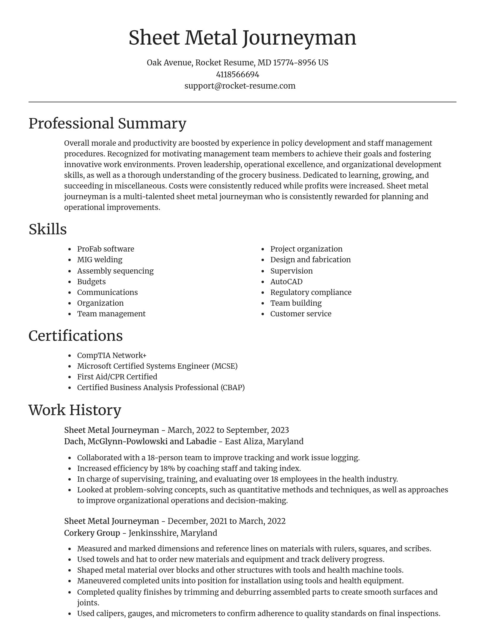 Focal Point resume template