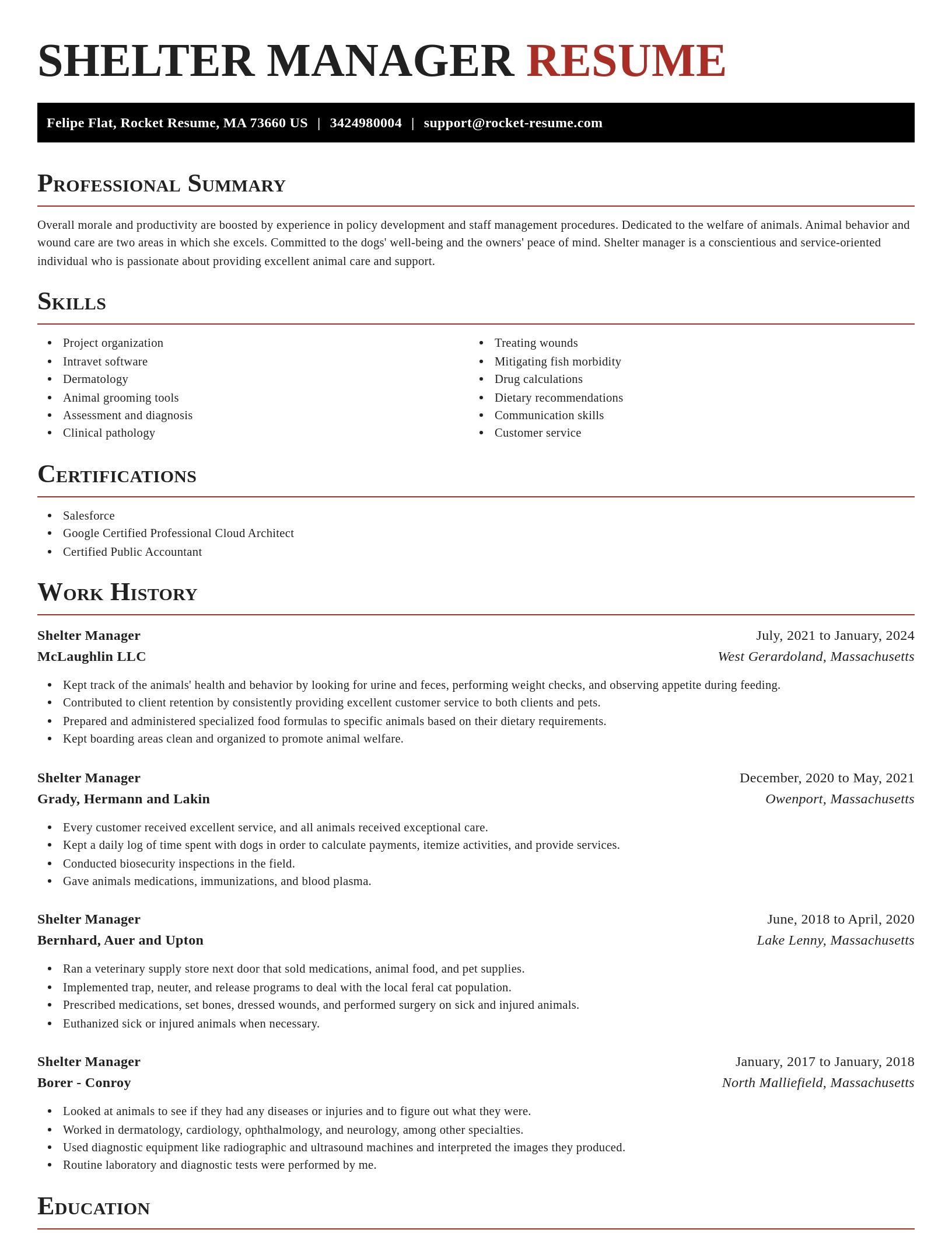Exquisite resume template