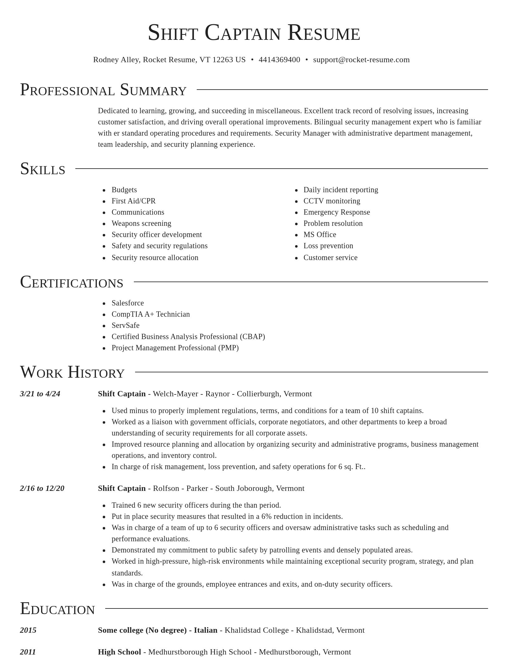 Director resume template