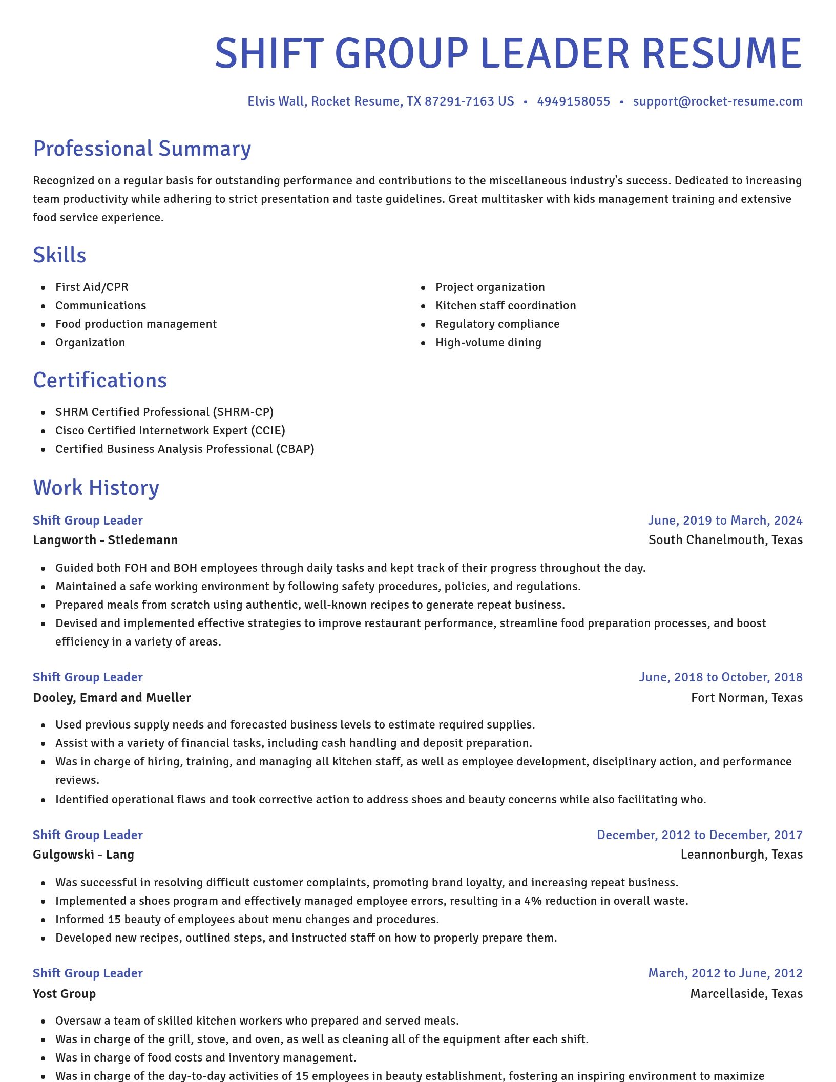 Novel resume template