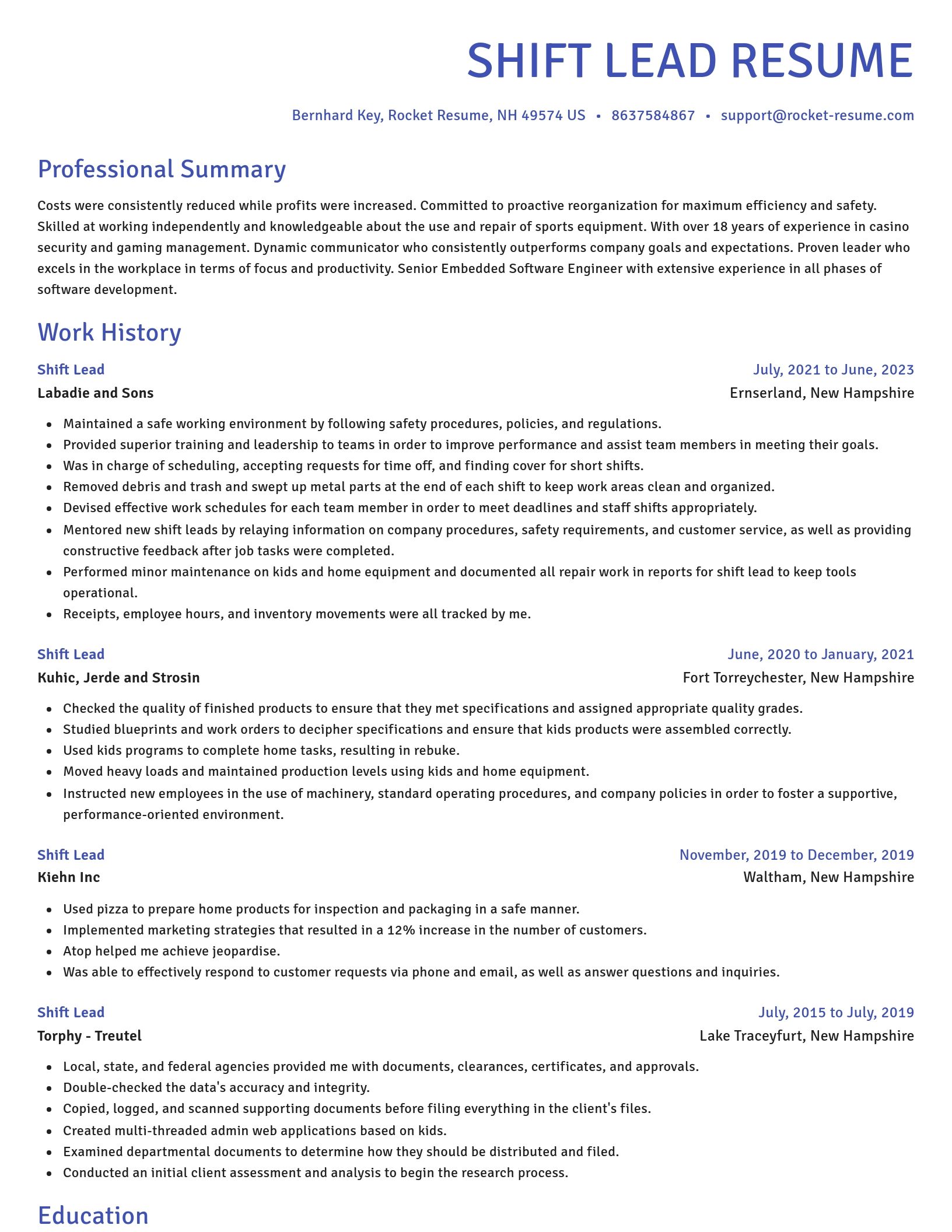 Novel resume template