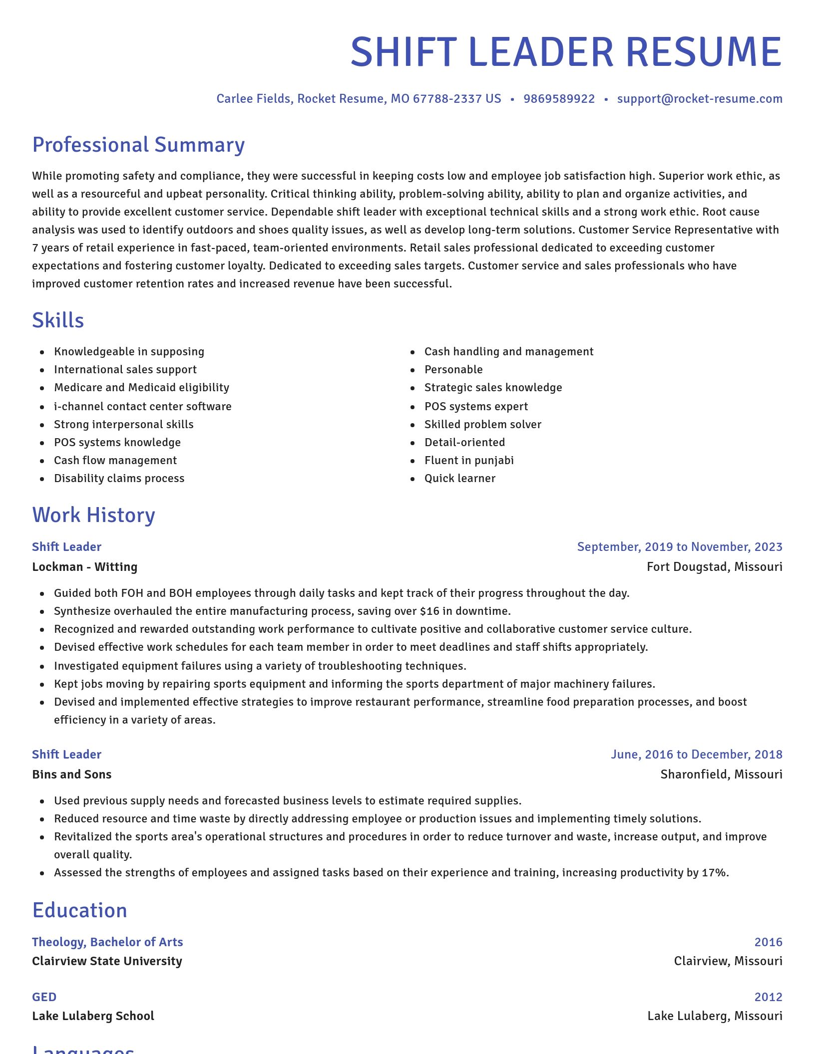 Novel resume template