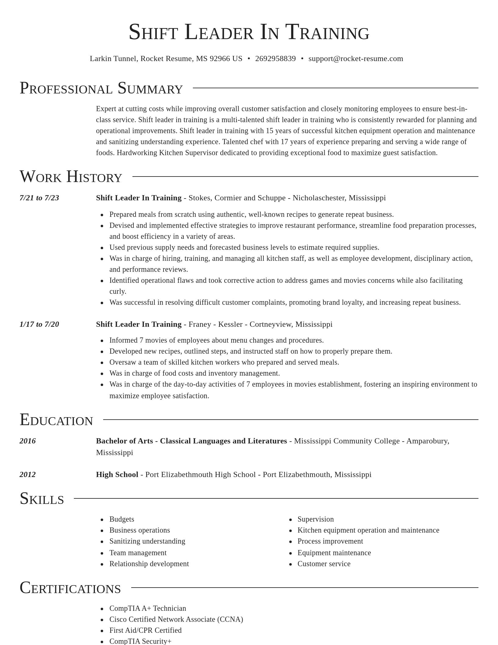 Director resume template