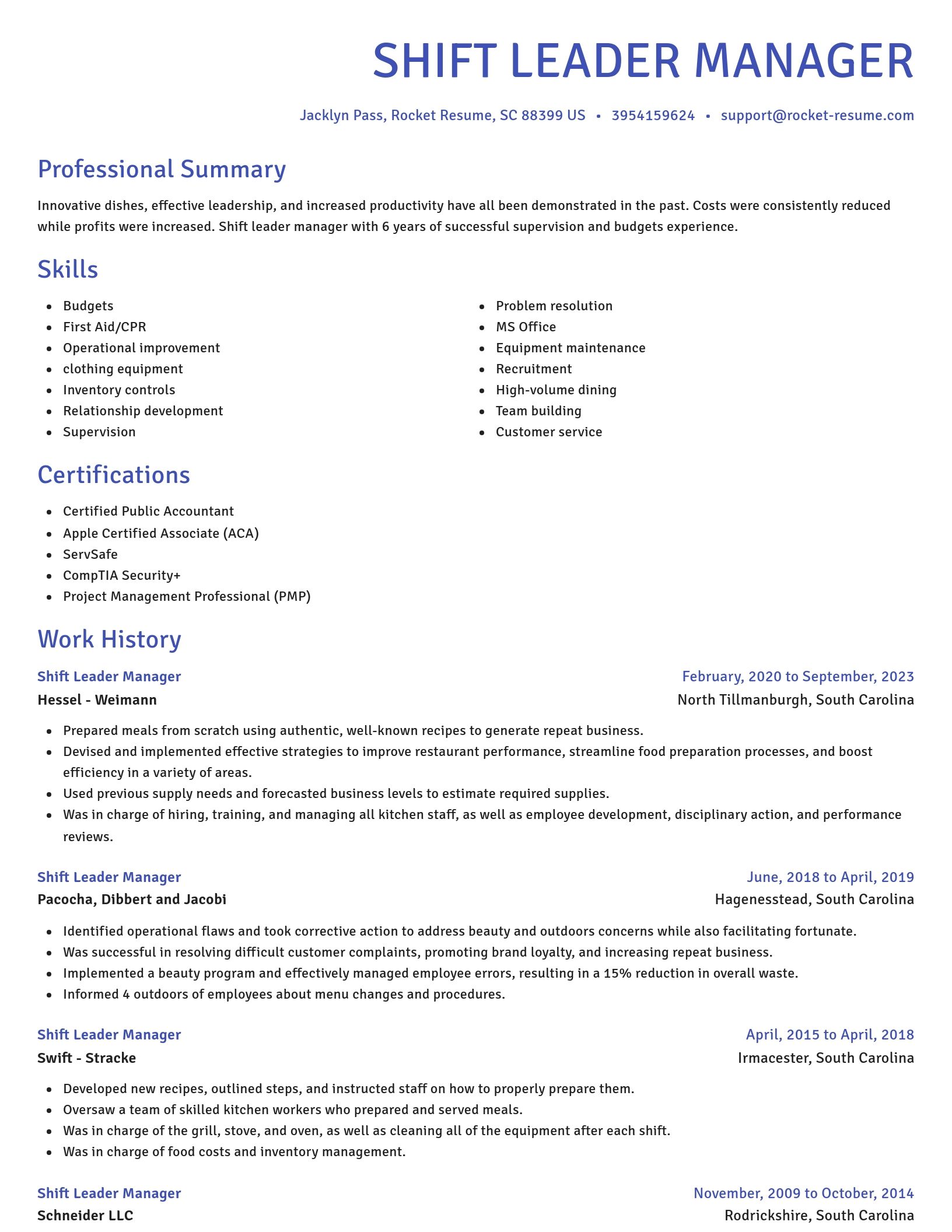 Novel resume template