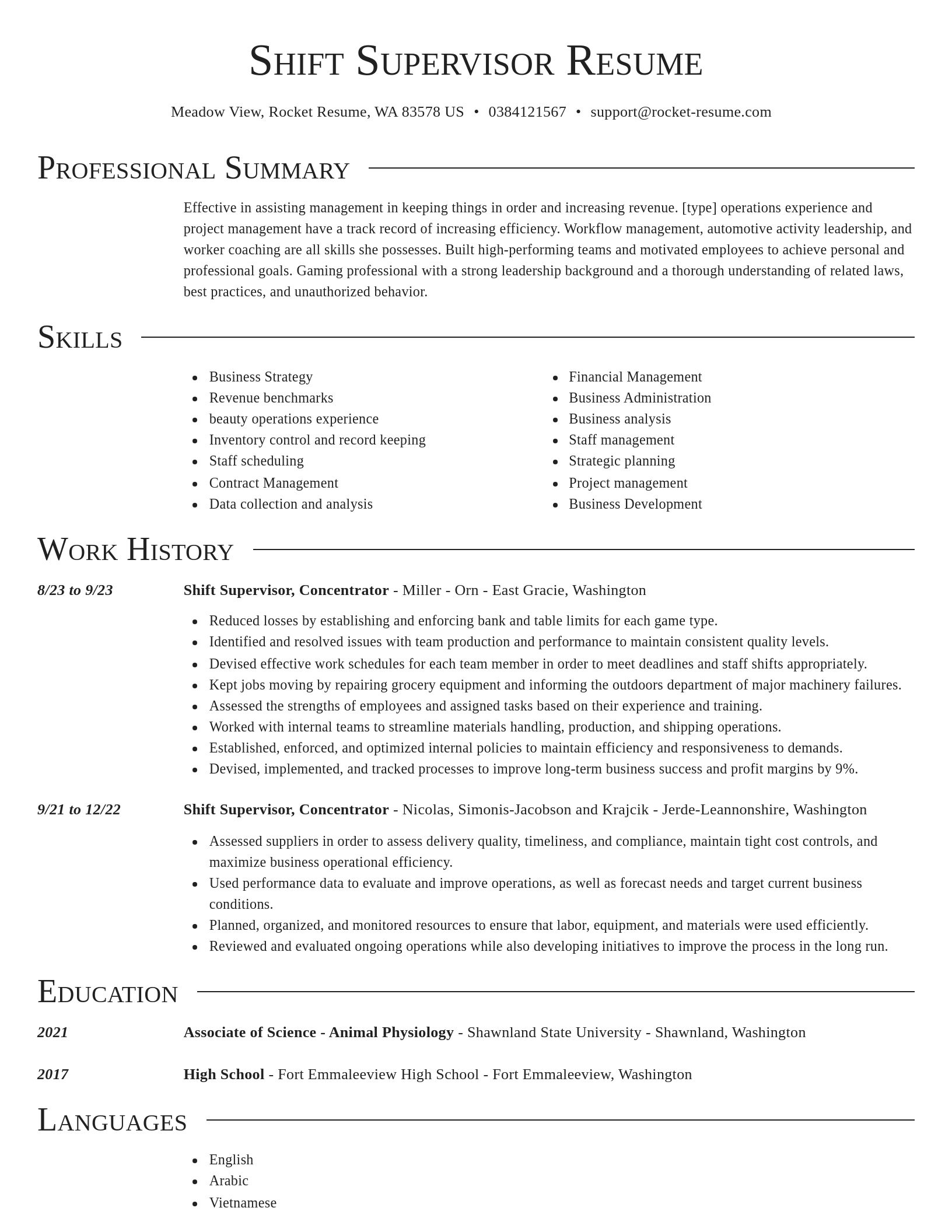 Director resume template
