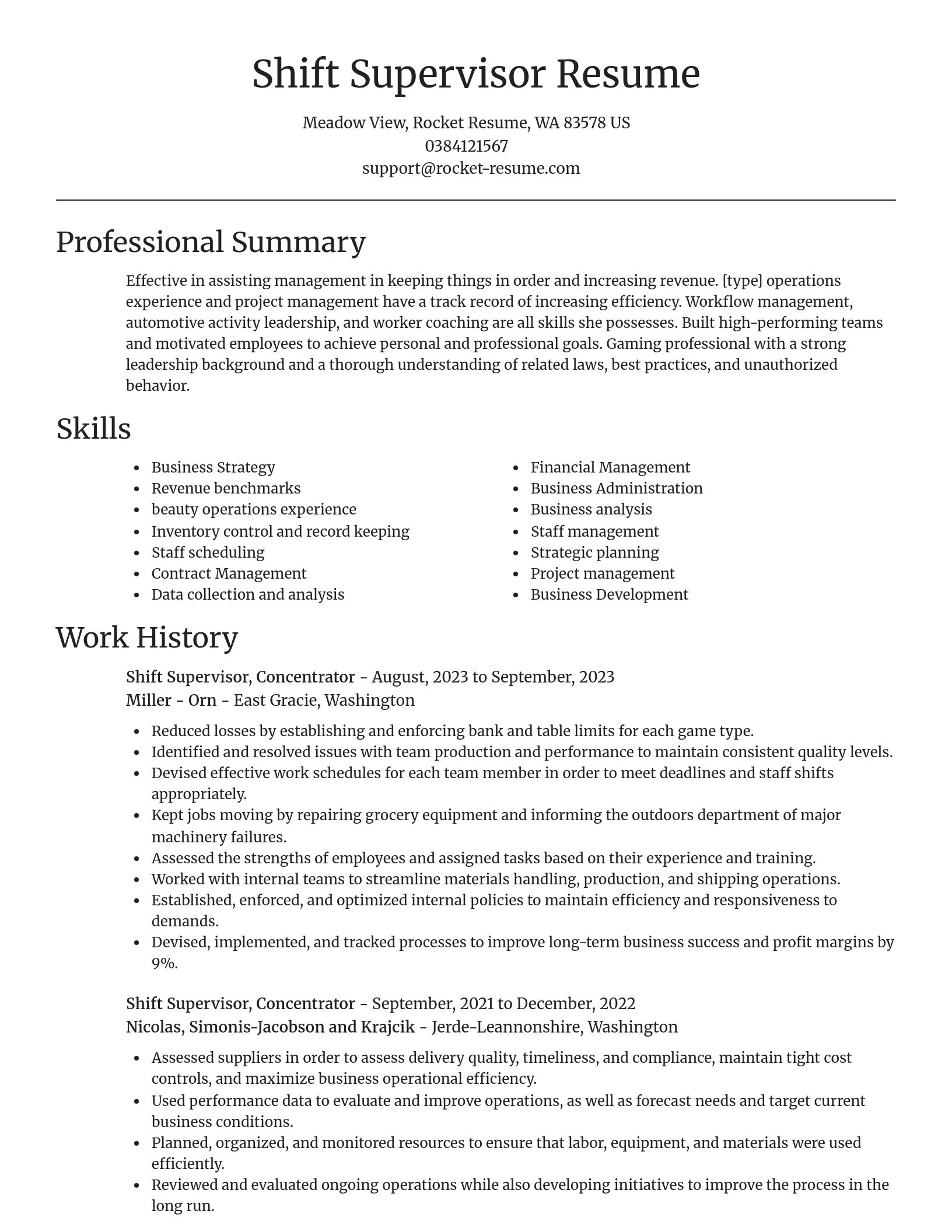 Focal Point resume template