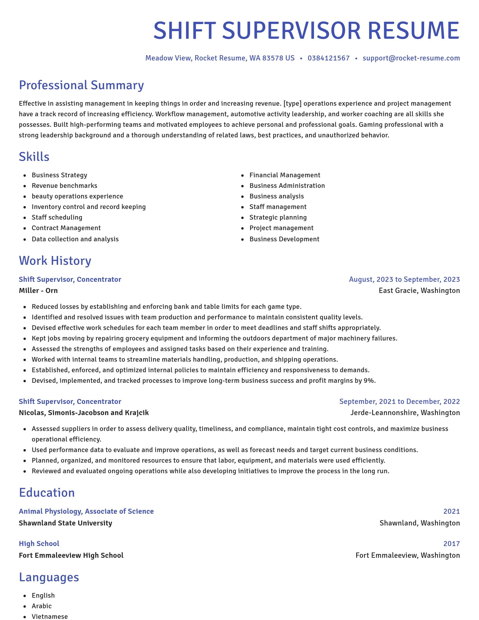 Novel resume template