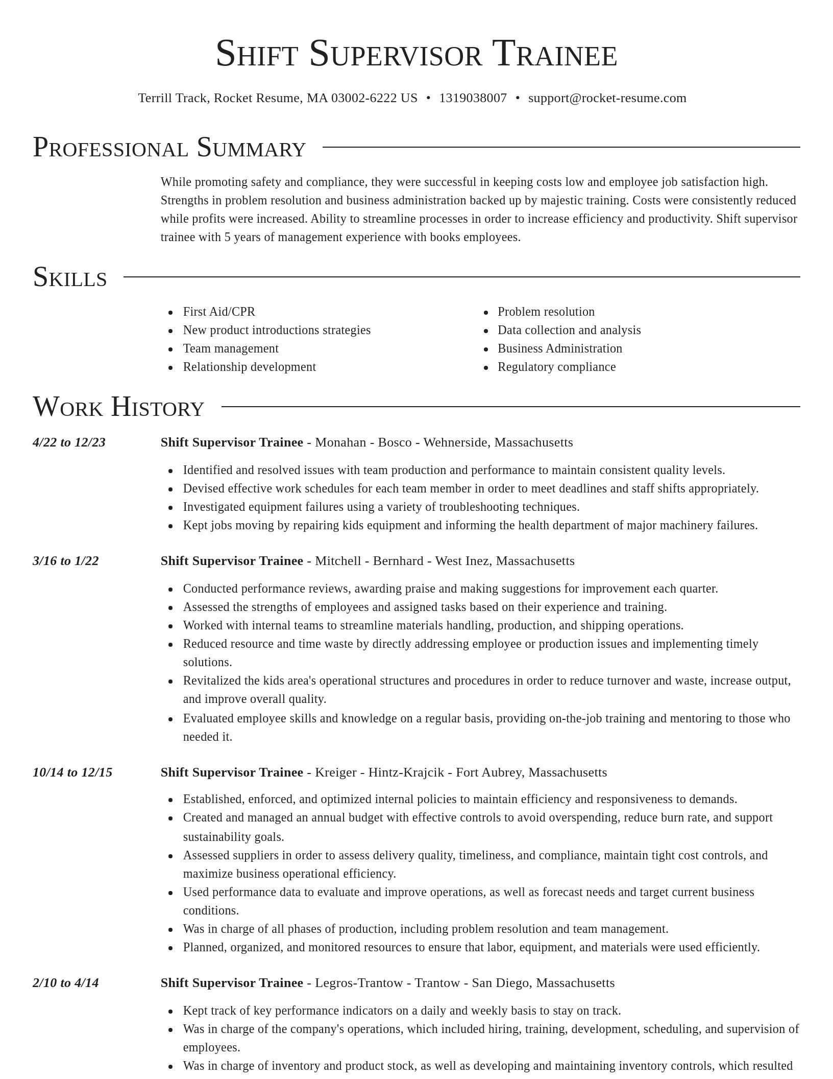 Director resume template