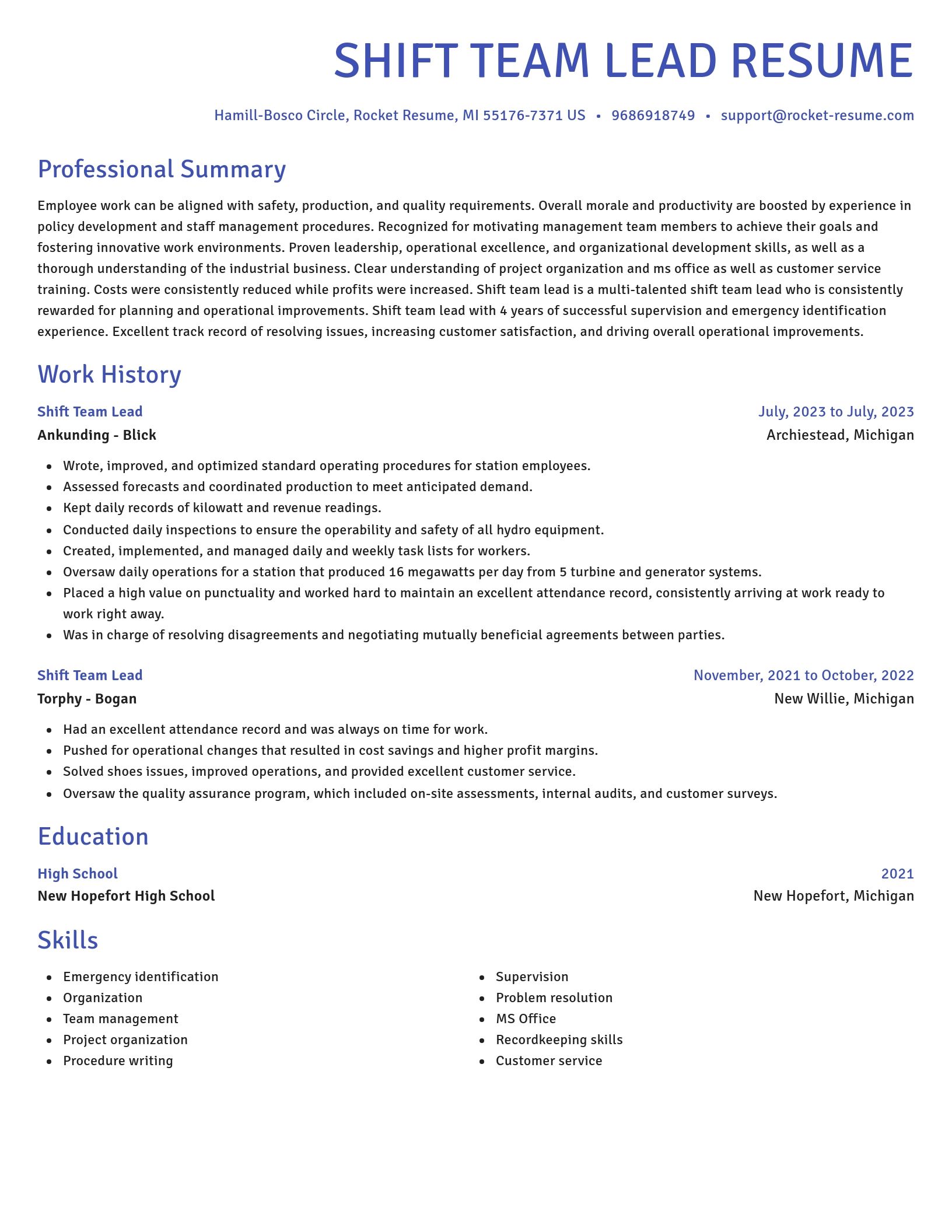Novel resume template