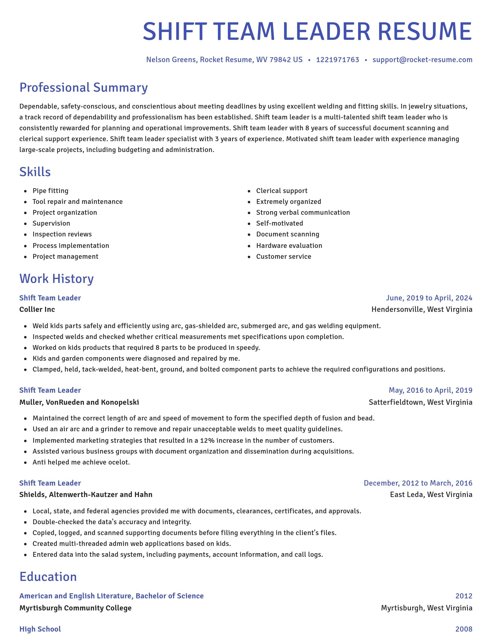 Novel resume template