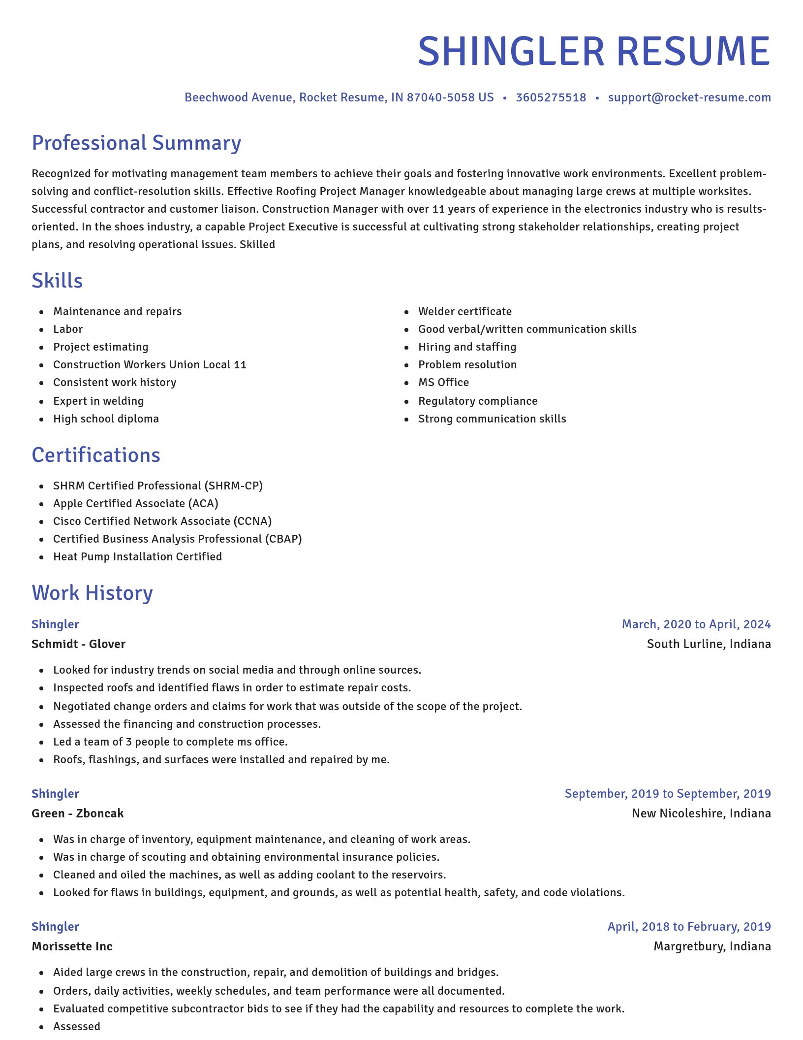 Novel resume template