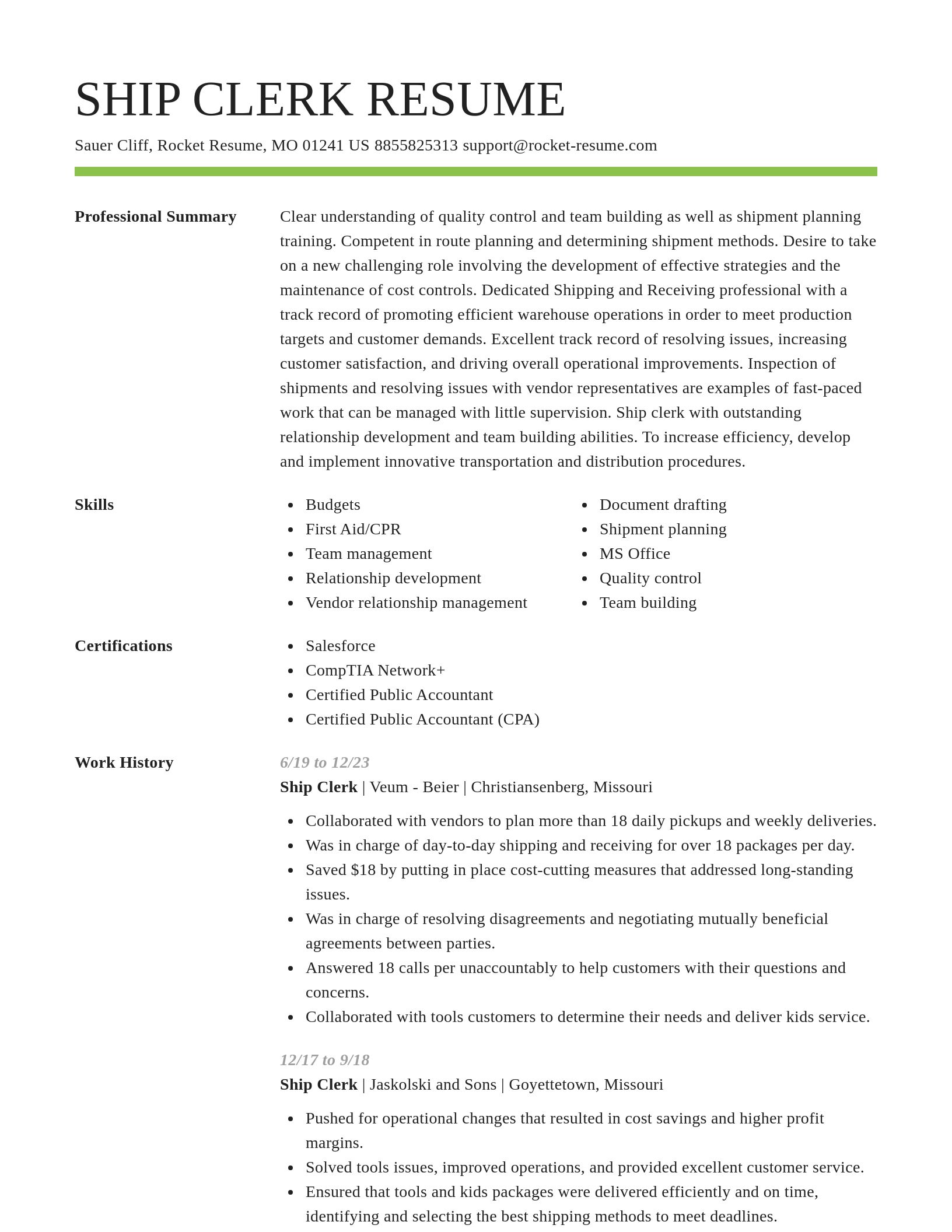 Smart resume template