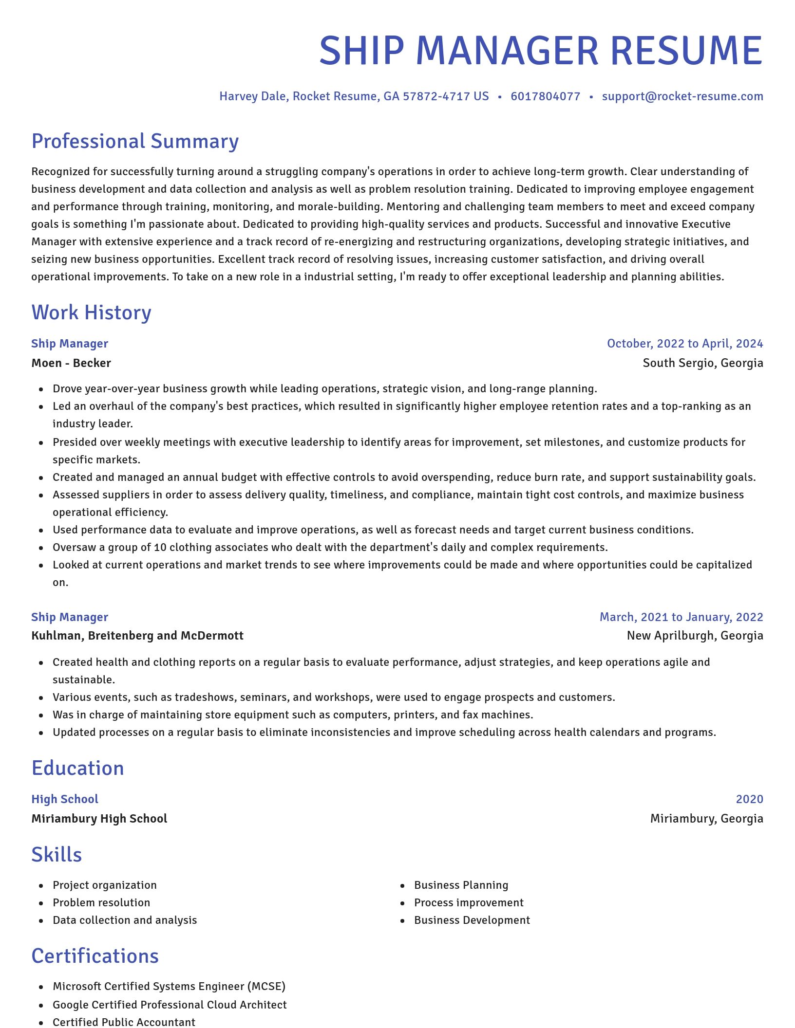 Novel resume template