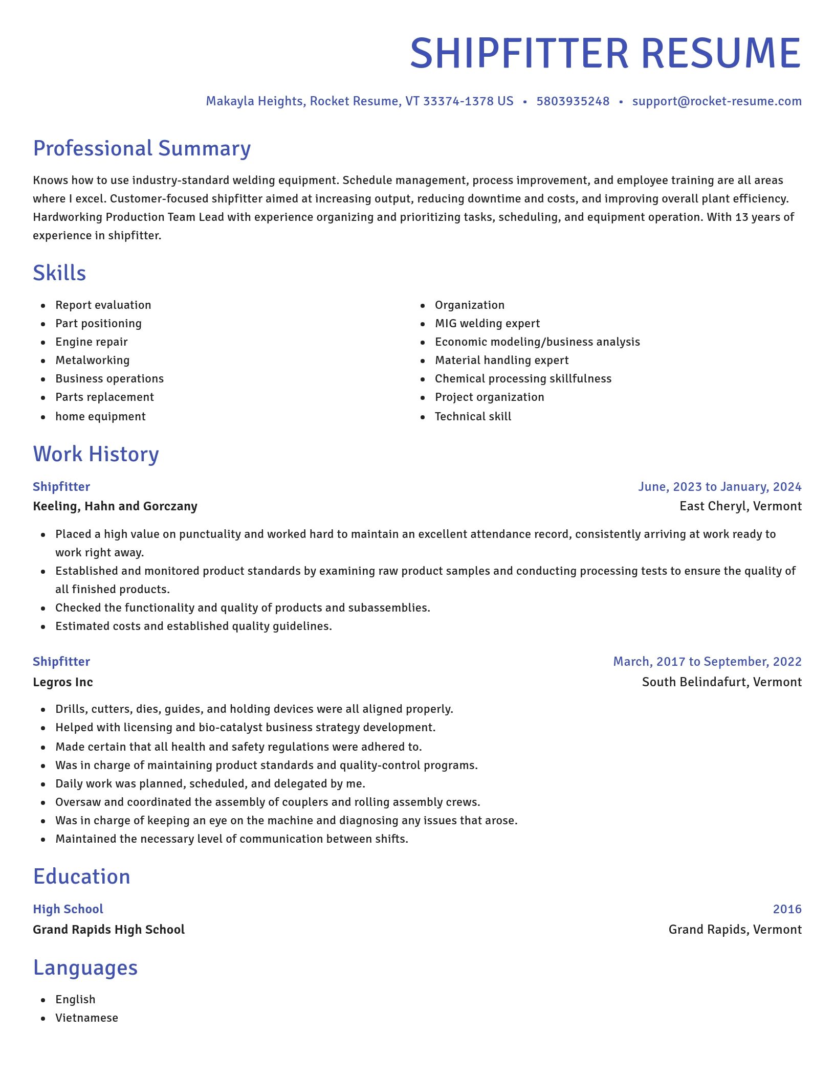 Novel resume template