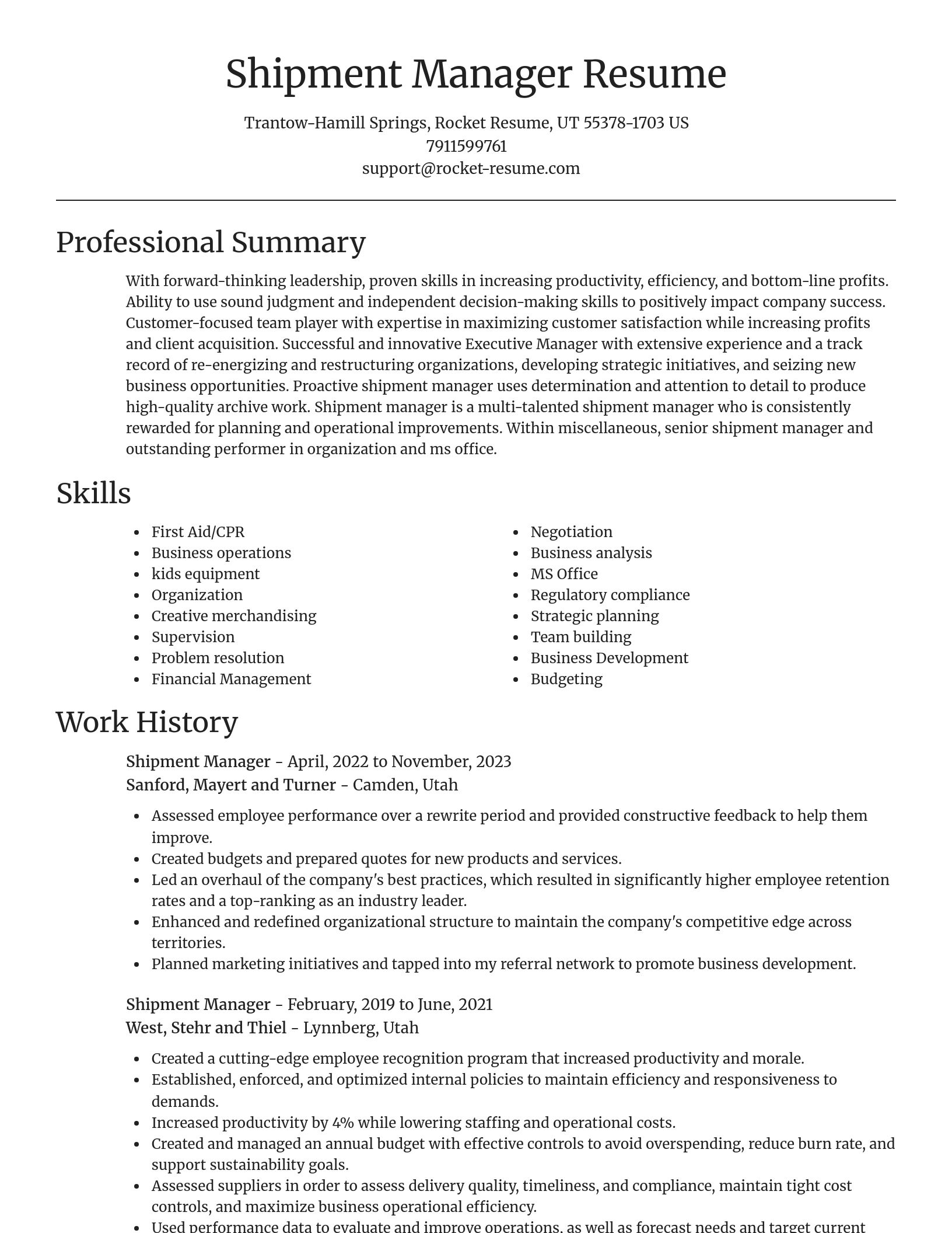 Focal Point resume template