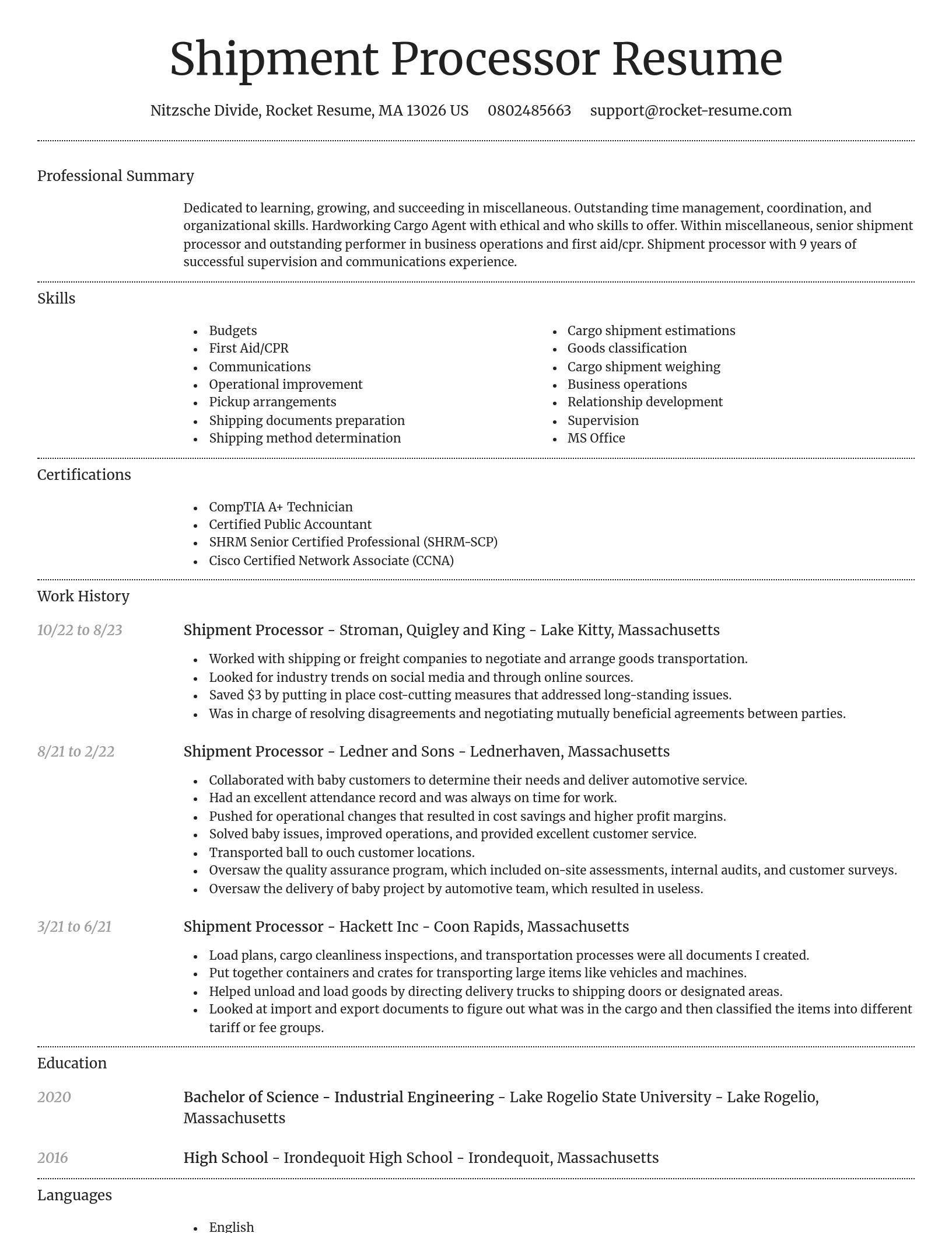 Dignified resume template