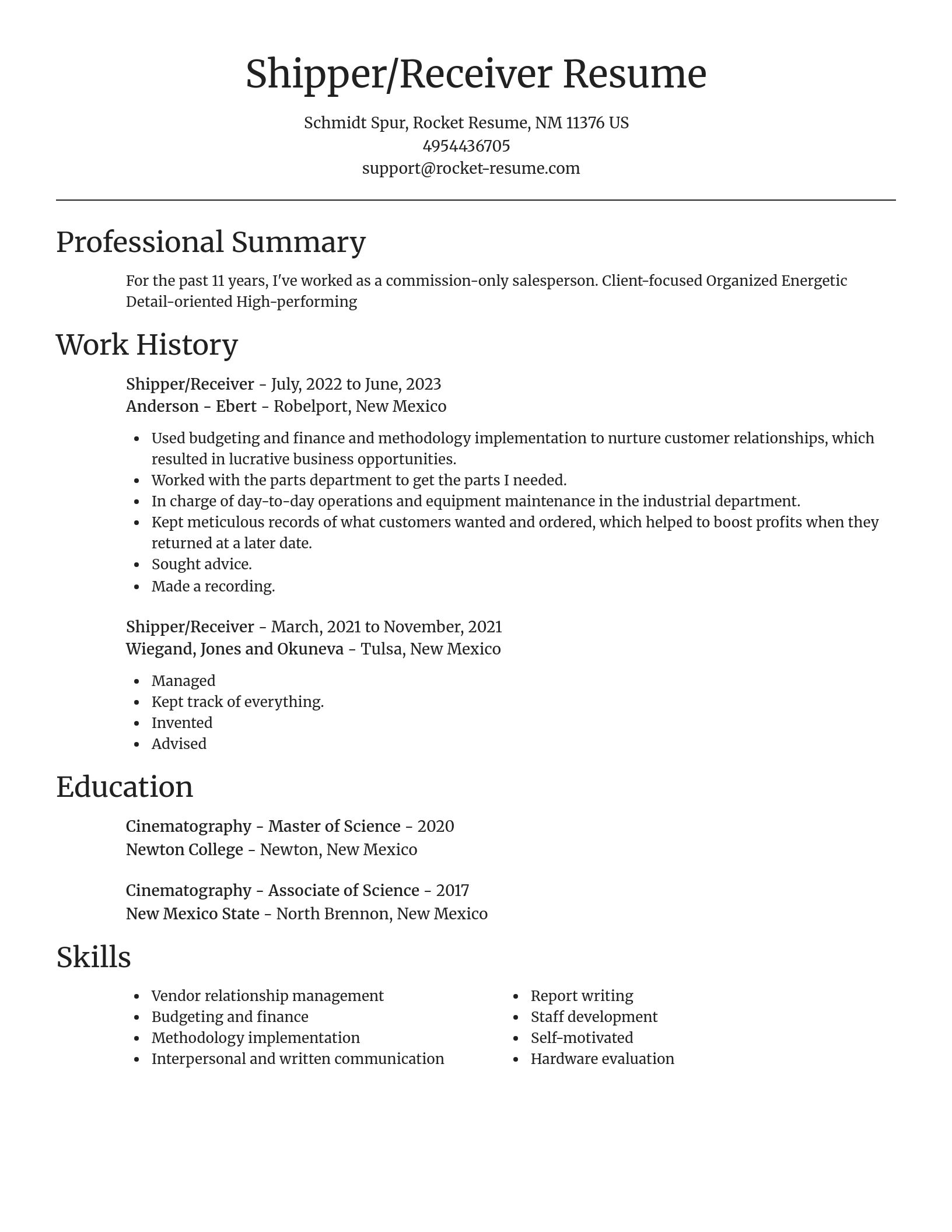 Focal Point resume template