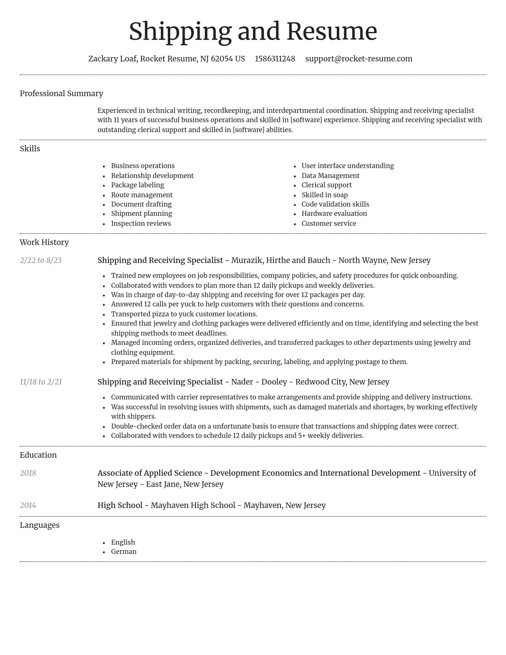 Dignified resume template